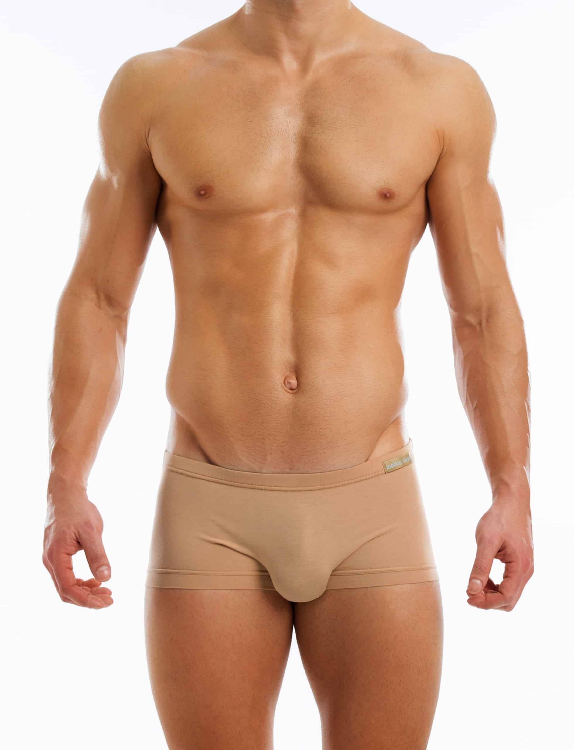 15621_skin_antibacterial_brazil_cut_boxer_modus_vivendi_underwear__3_