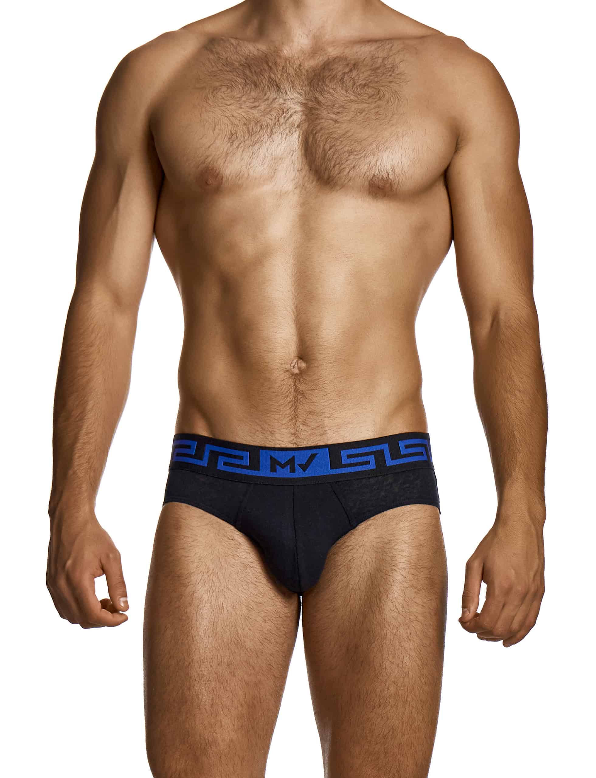 27514_black_linen_classic_brief_modus_vivendi_underwear__1_