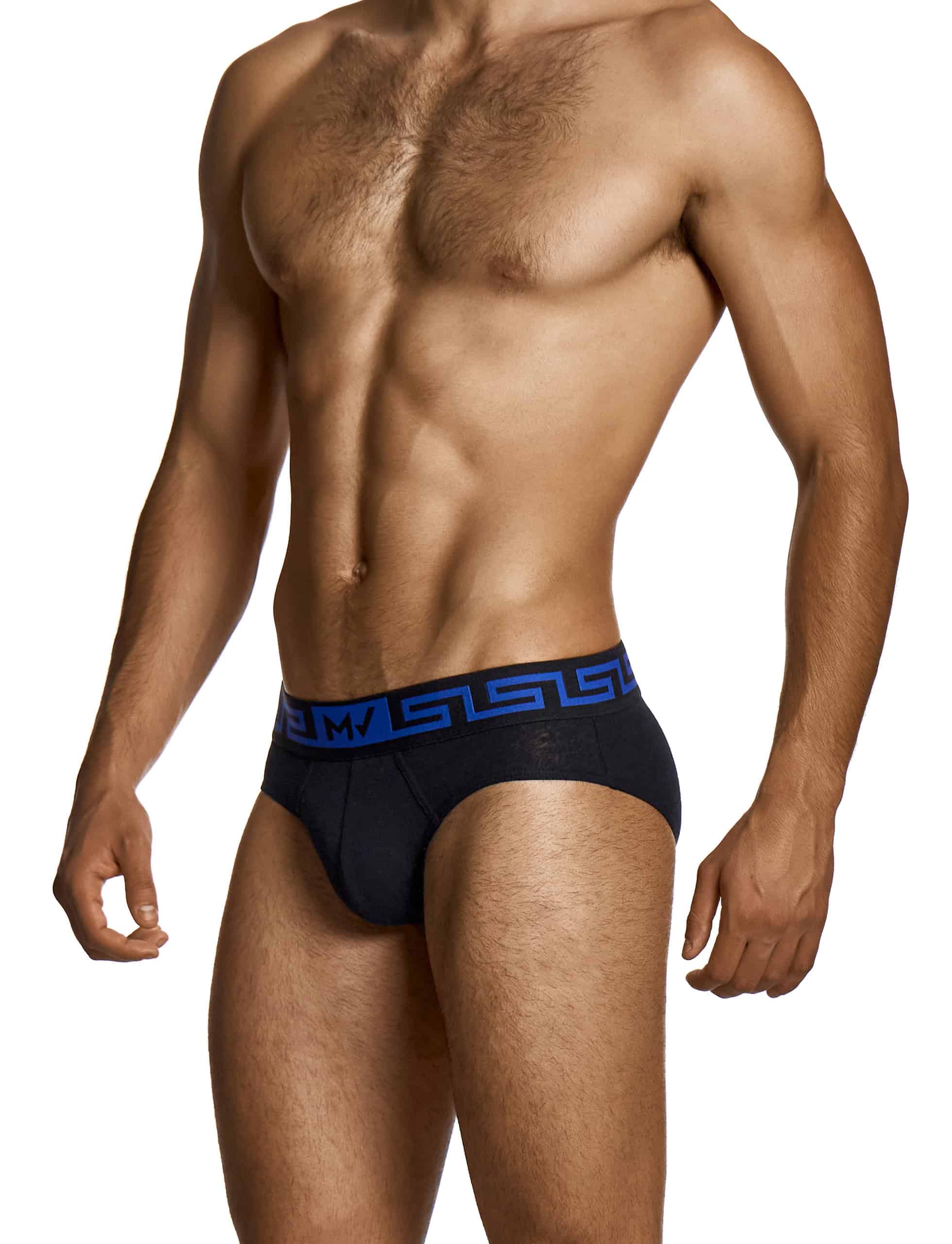 27514_black_linen_classic_brief_modus_vivendi_underwear__2_
