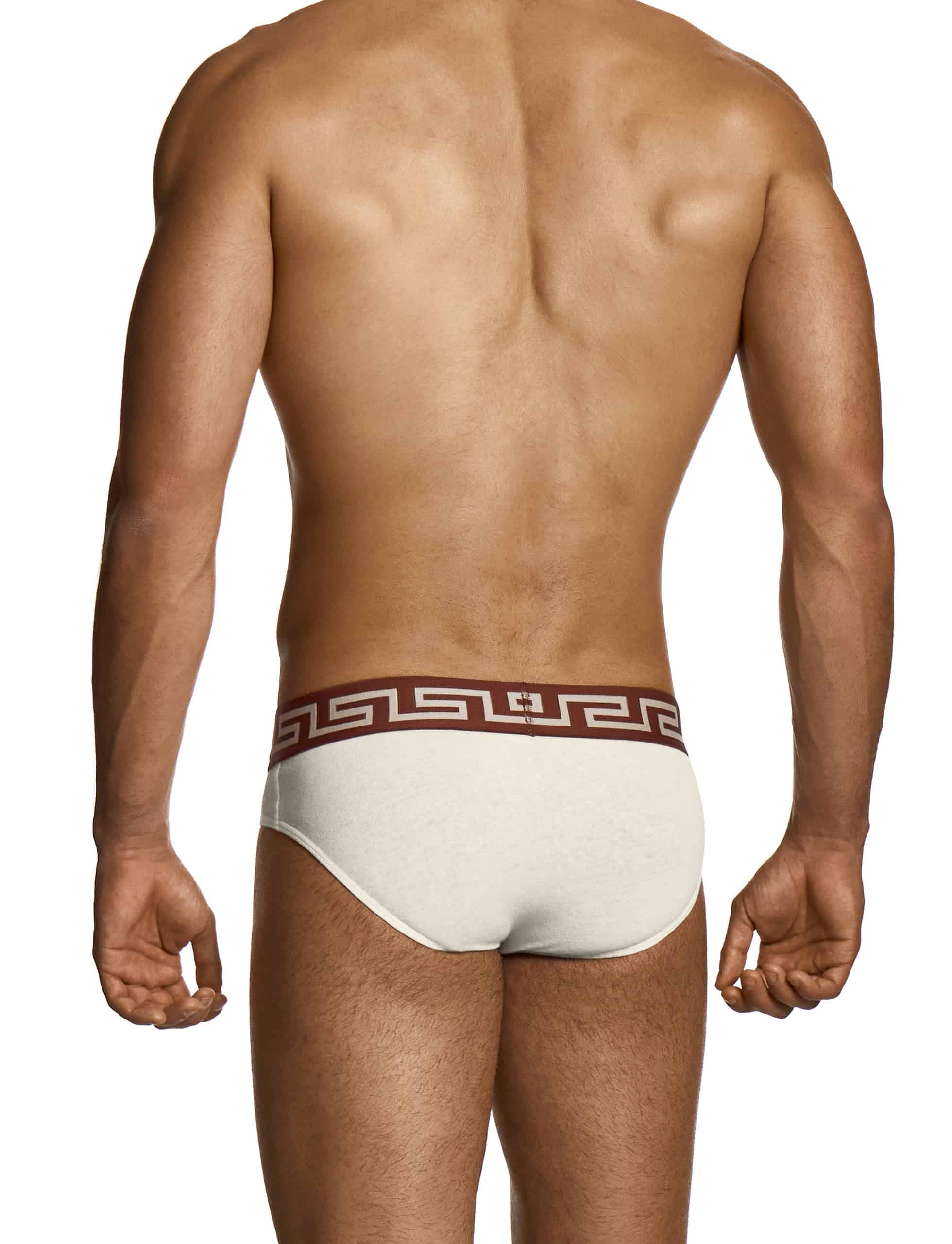 27514_off_white_linen_classic_brief_modus_vivendi_underwear__3_