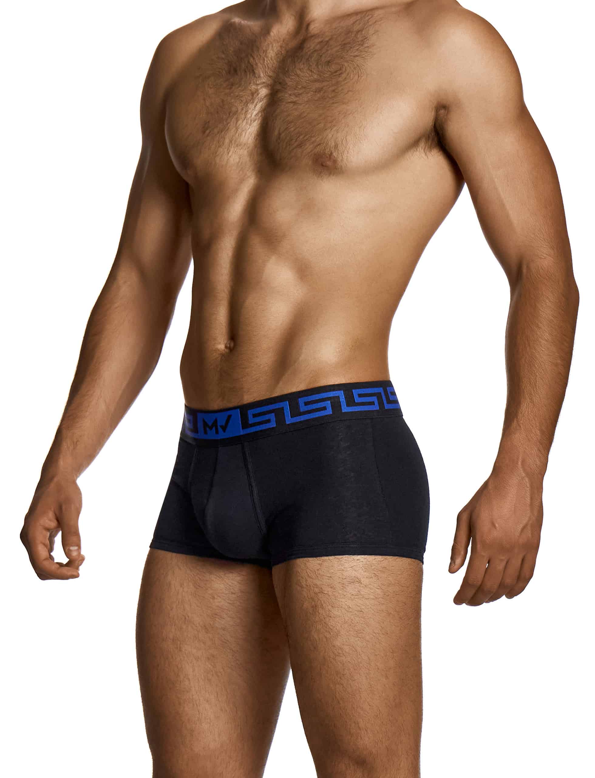 27521_black_linen_boxer_modus_vivendi_underwear__2_
