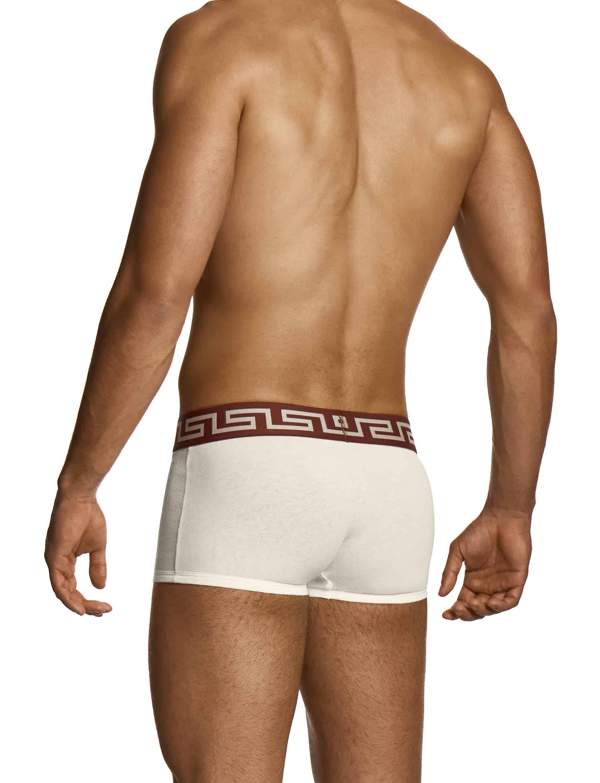 27521_off_white_linen_boxer_modus_vivendi_underwear__3_