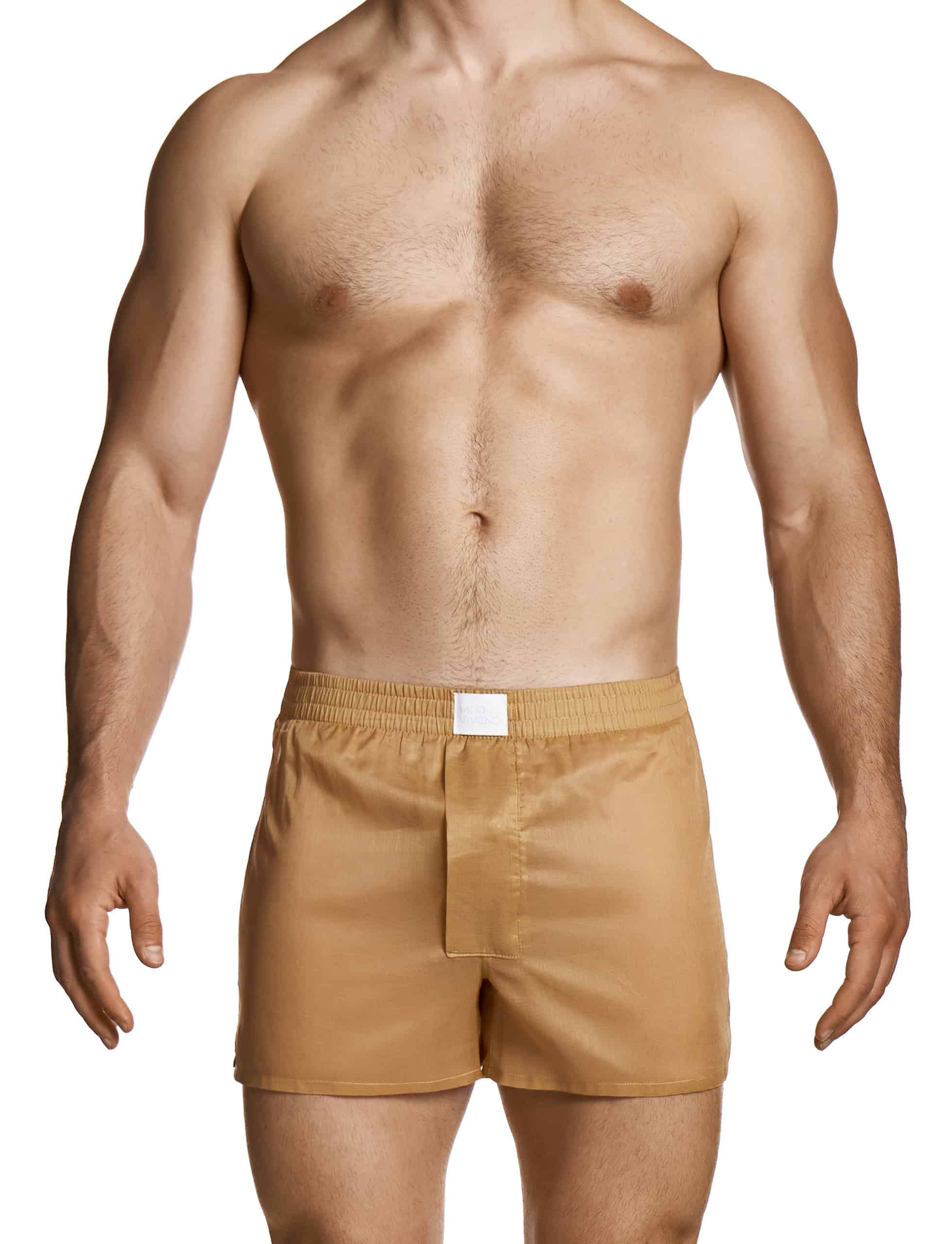 27524_light_skin_voile_boxer_shorts_modus_vivendi_underwear__1_