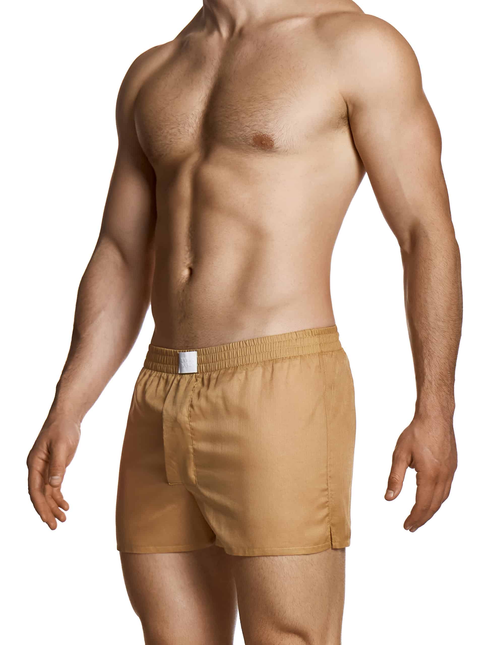 27524_light_skin_voile_boxer_shorts_modus_vivendi_underwear__2_