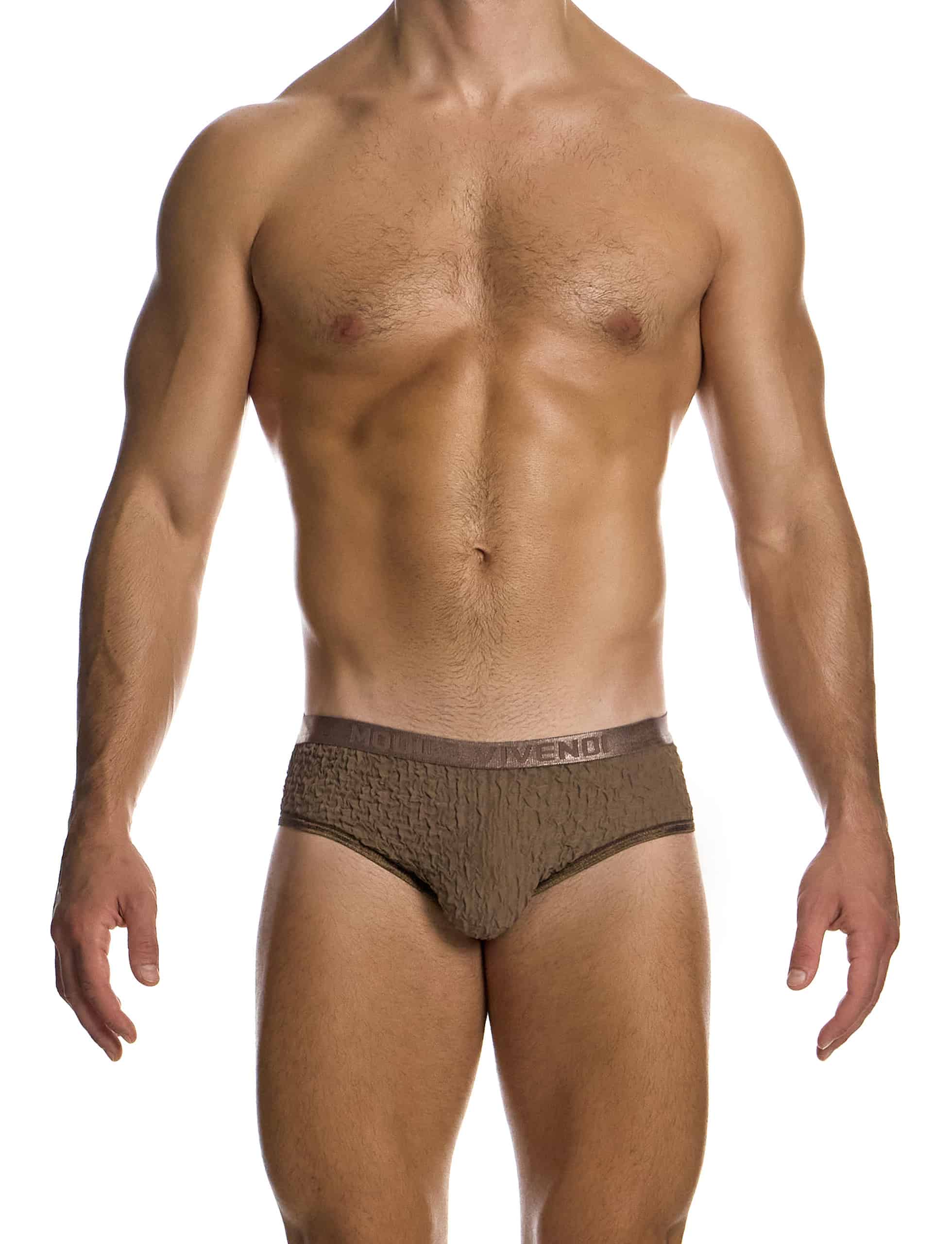 09516_taupe_ballet_classic_brief_modus_vivendi_underwear__1_