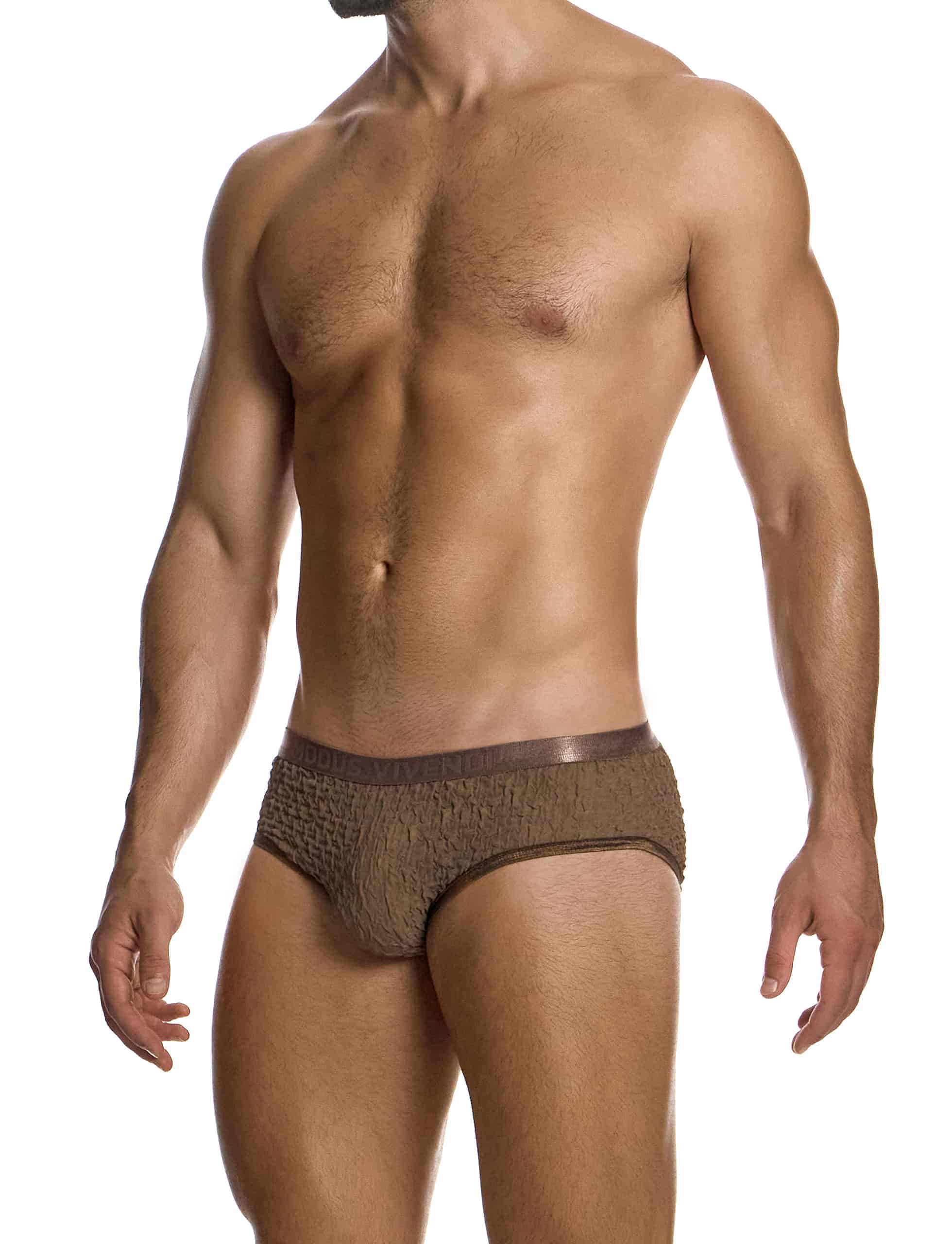 09516_taupe_ballet_classic_brief_modus_vivendi_underwear__2_