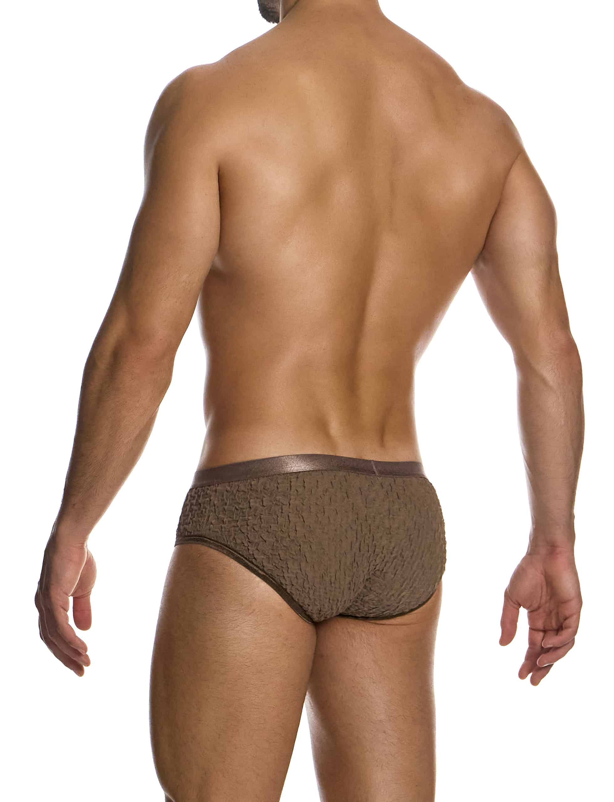 09516_taupe_ballet_classic_brief_modus_vivendi_underwear__3_