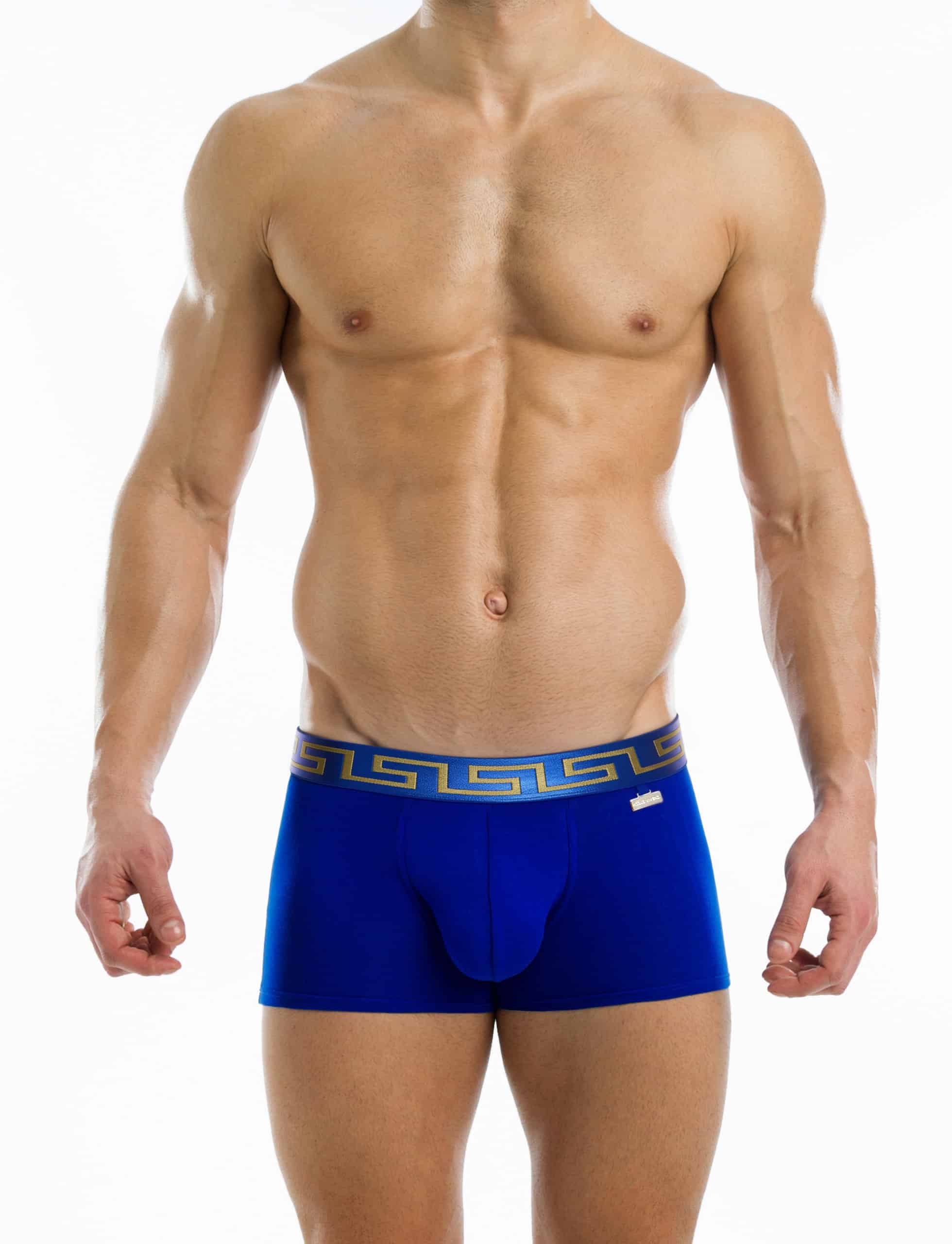 11621_blue_meander_boxer_modus_vivendi_underwear__1_