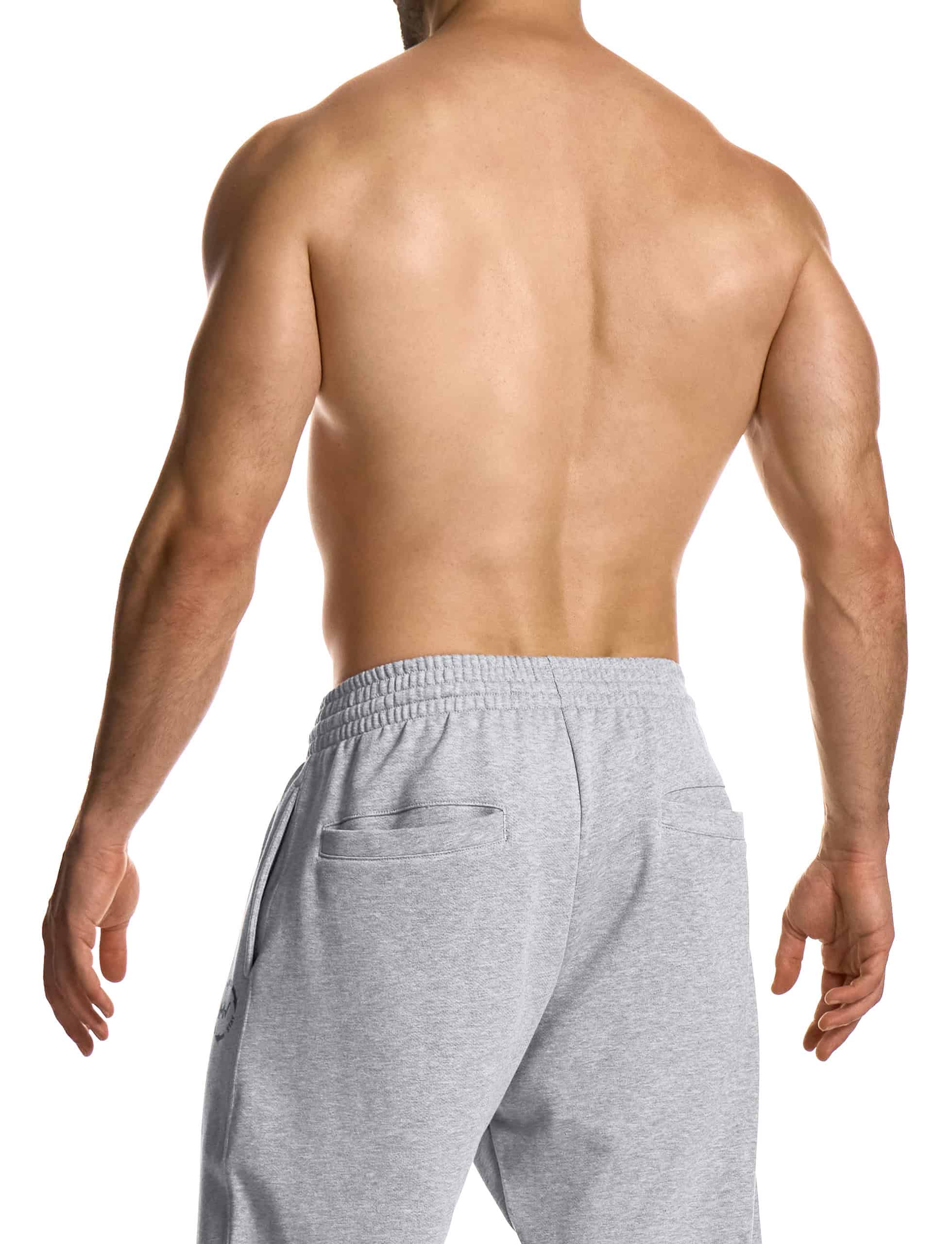 31561_grey_athletic_joggers_modus_viventi_sportswear__3__6euc-r1