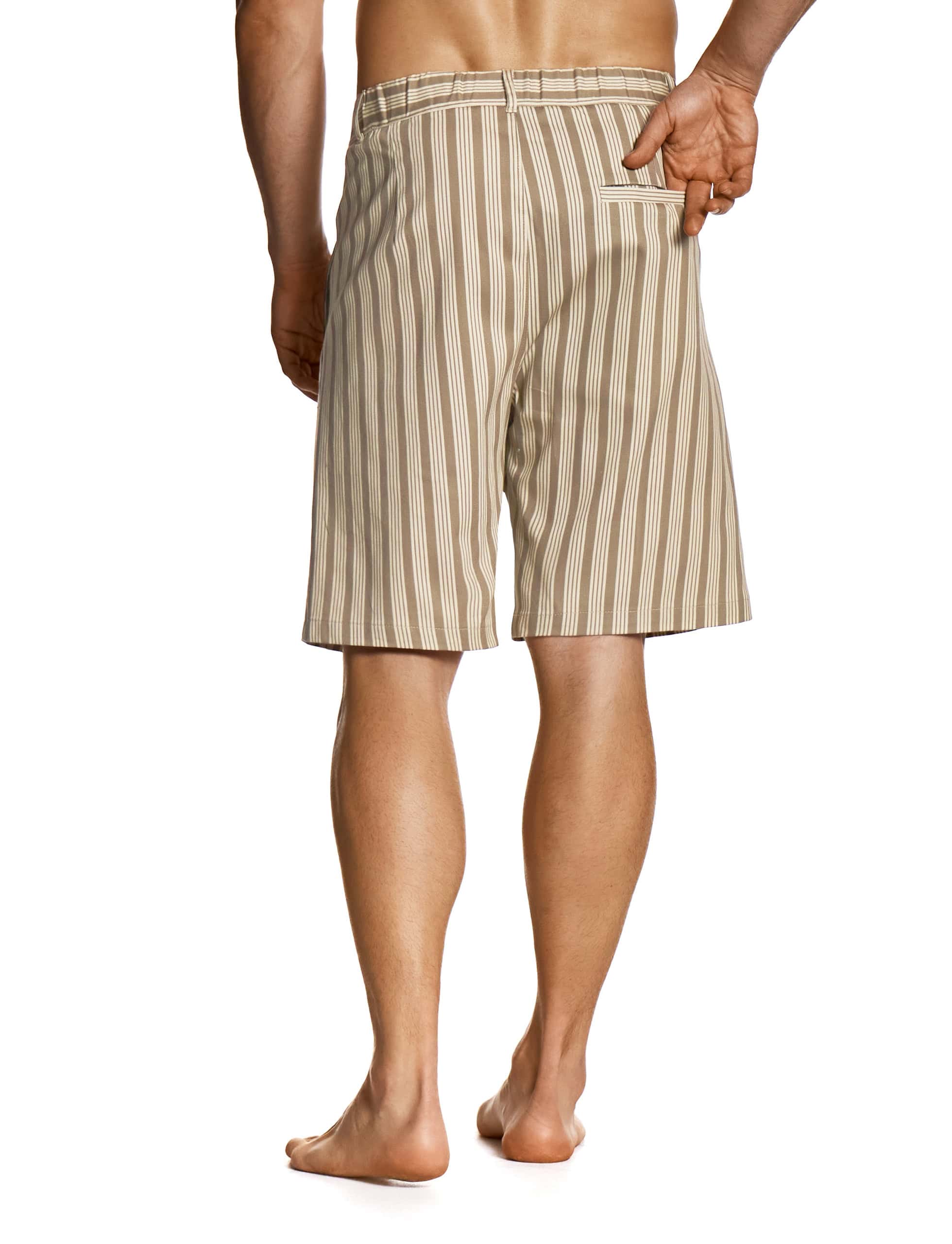 AP1123-6141_taupe_breton_stripes_twill_shorts_modus_vivendi_ready_to_wear__3__bwbq-eu