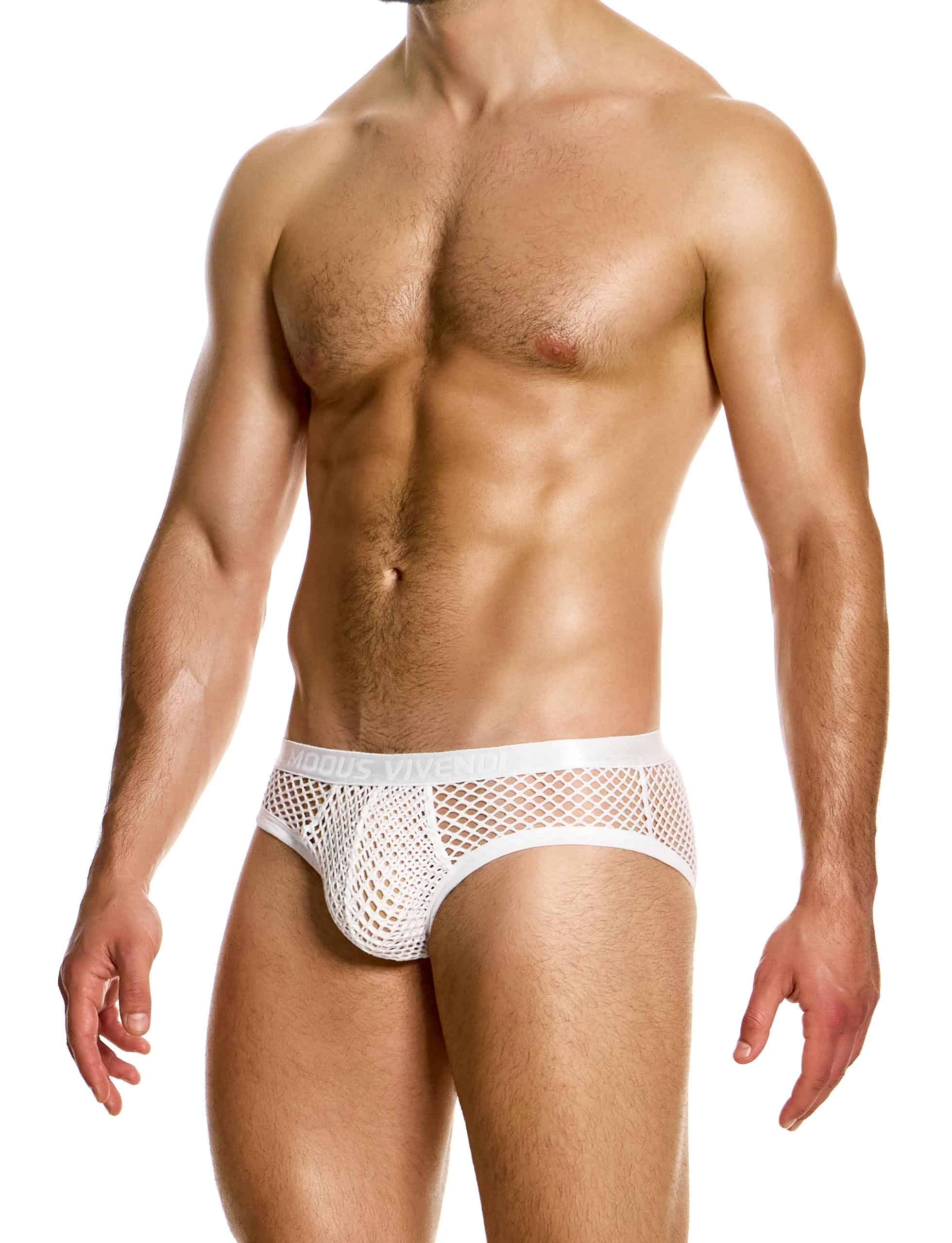 05416_white_classic_brief_mesh_modus_vivendi_underwear__2_