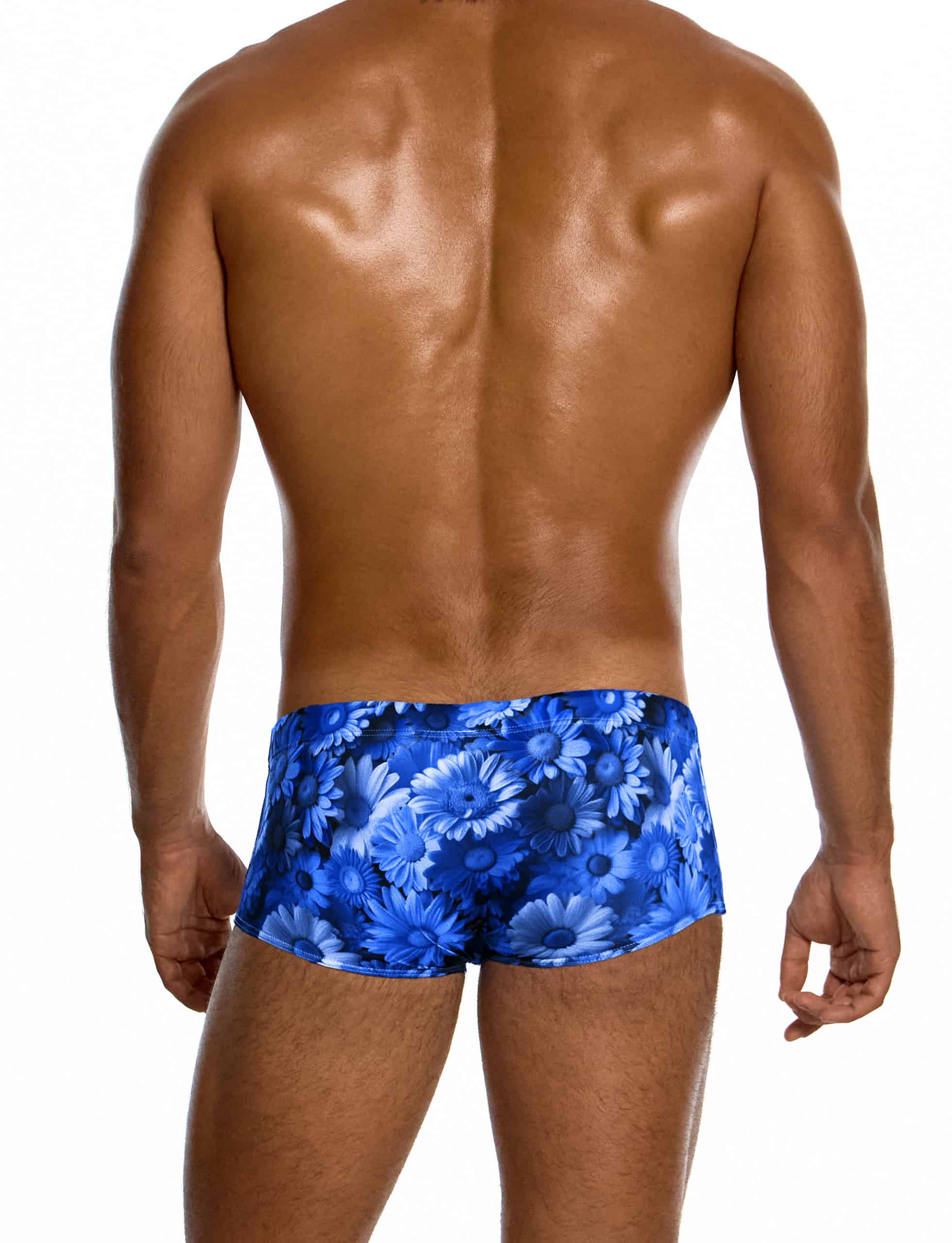 modus-vivendi-daisies-brazil-cut-boxer-blue-mens-swimwear-CS2621__4_