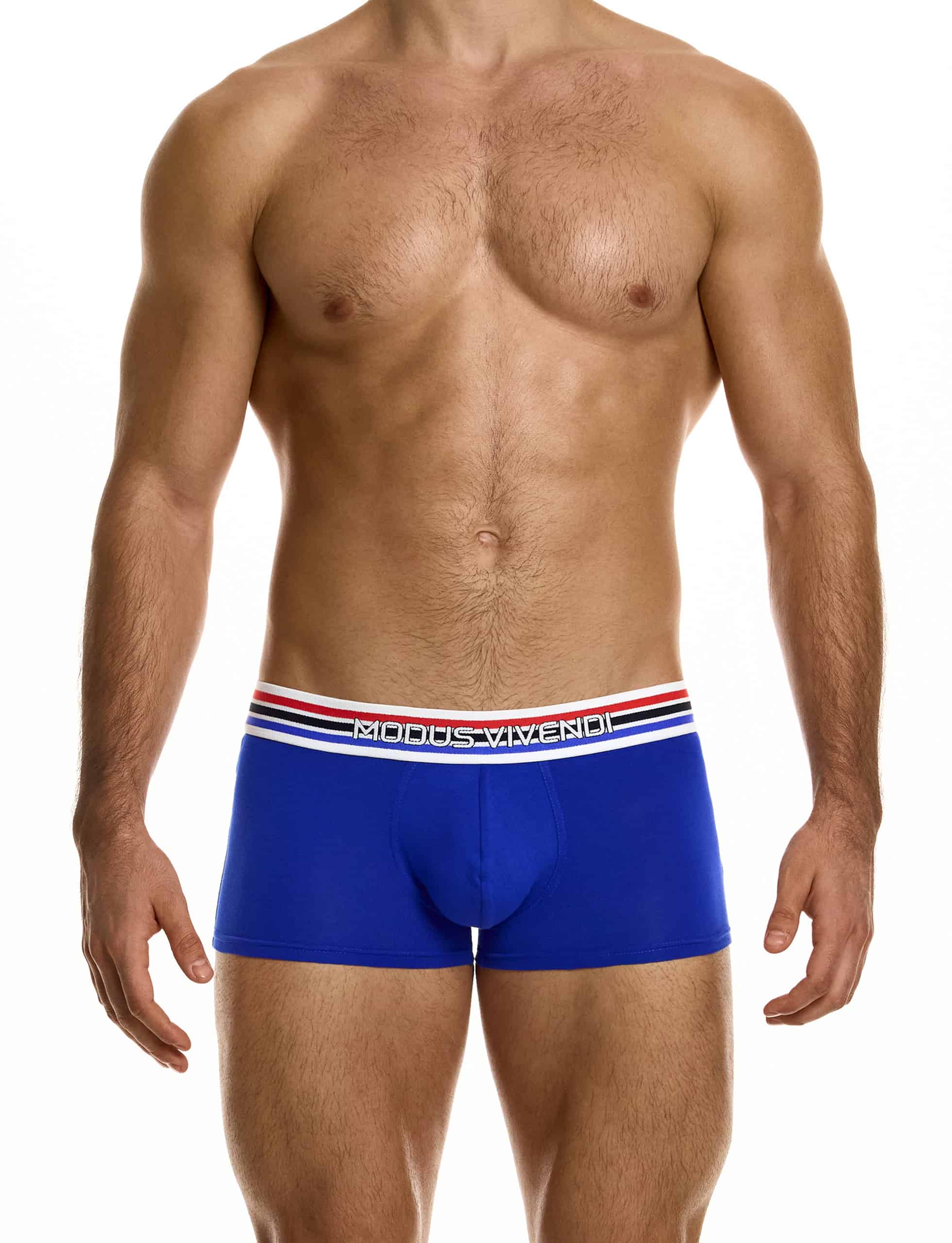 modus-vivendi-heritage-boxer-blue-mens-underwear-30521__1_