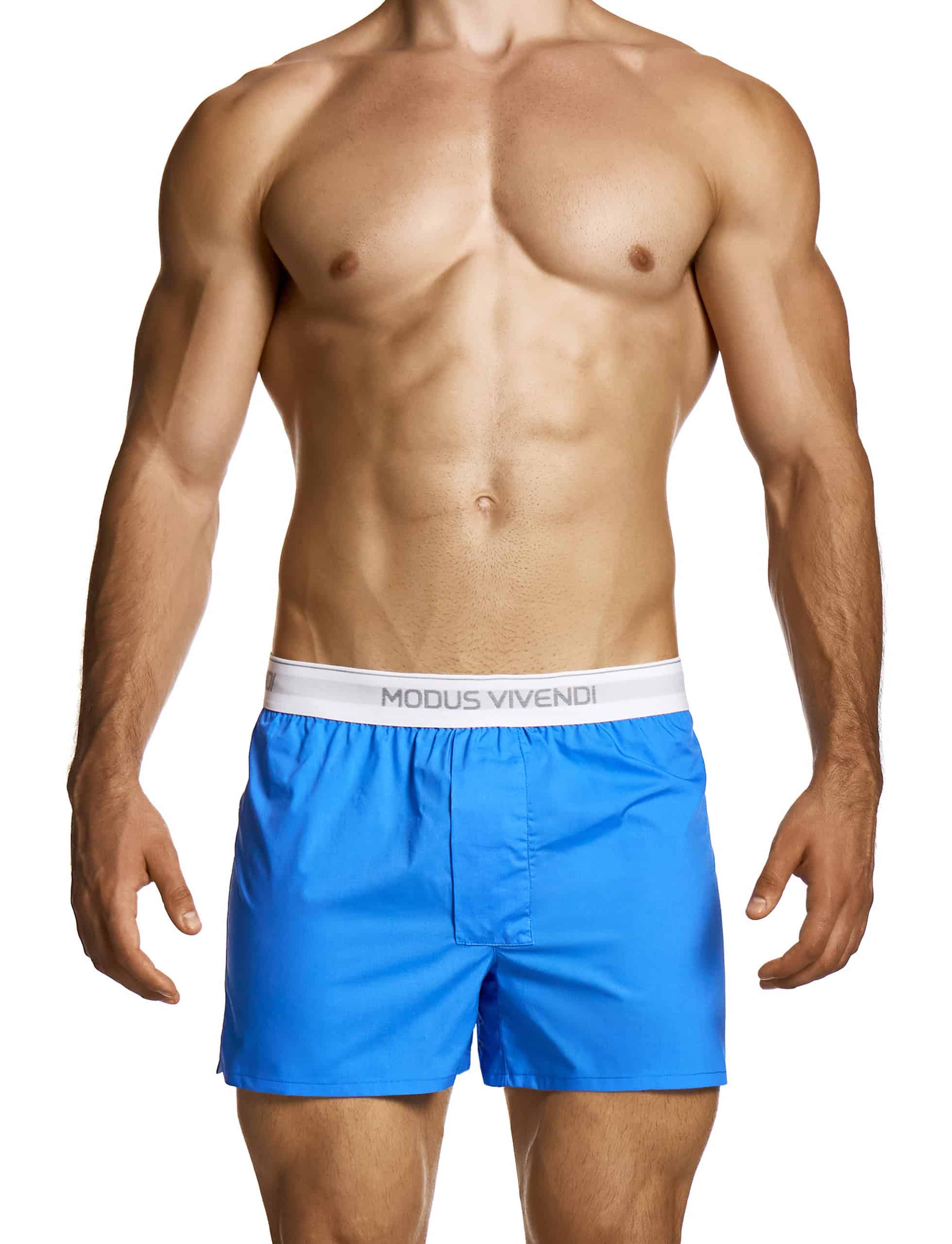 modus-vivendi-heritage-boxer-shorts-blue-mens-underwear-30522__1_