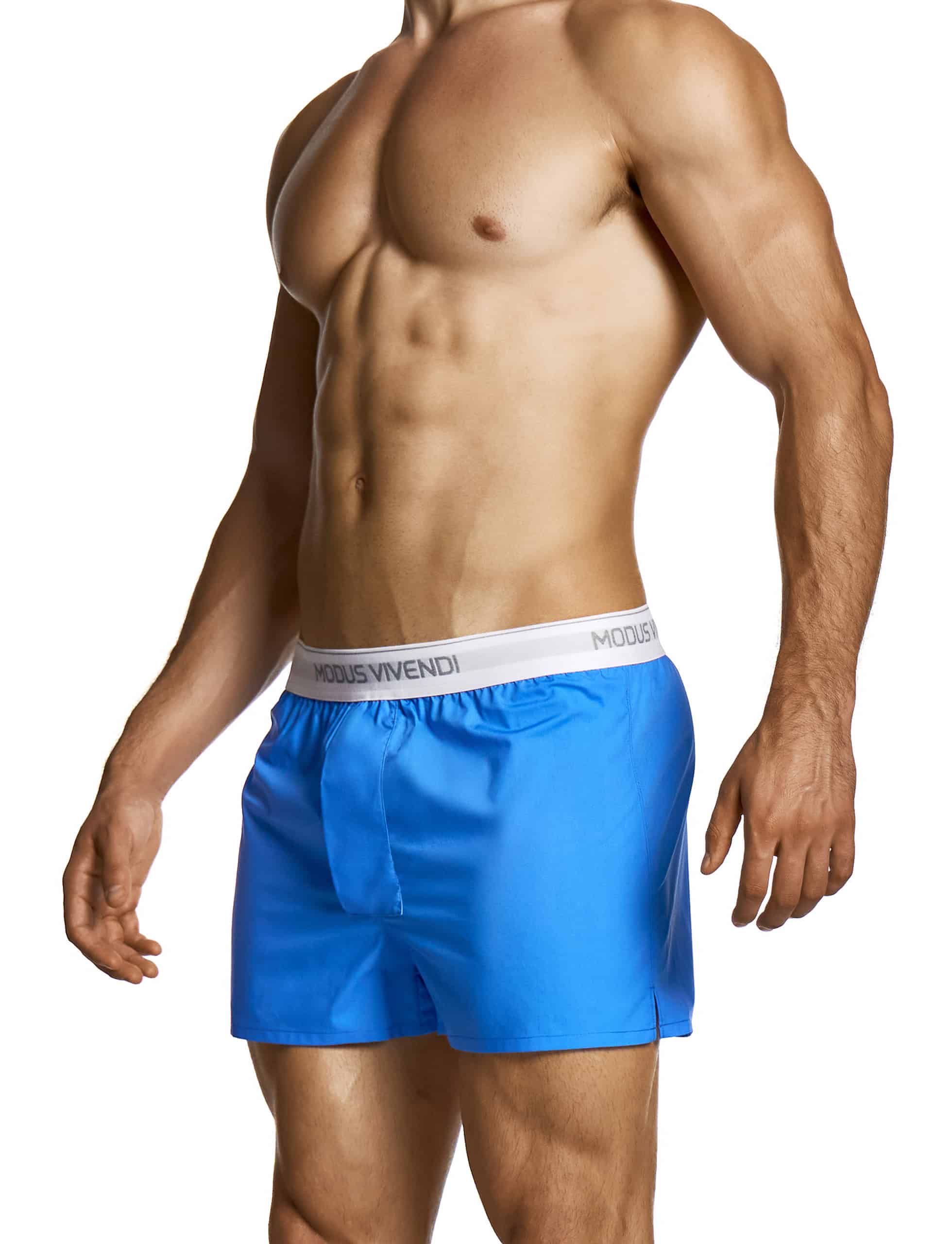 modus-vivendi-heritage-boxer-shorts-blue-mens-underwear-30522__3_