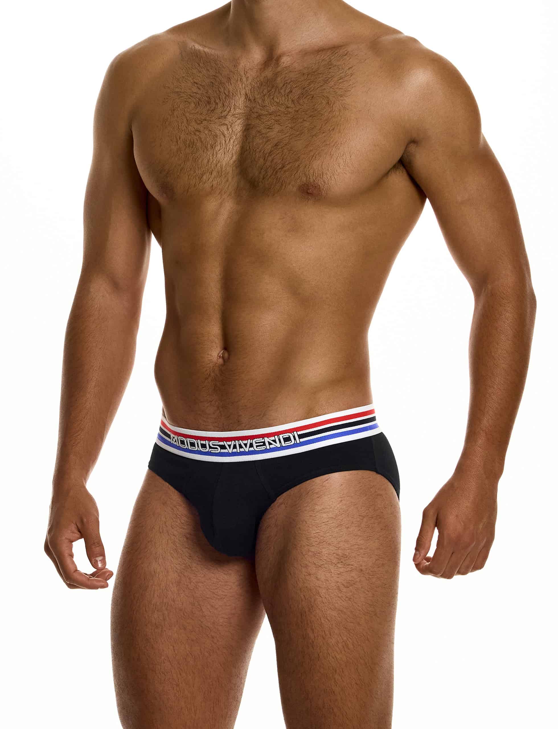 modus-vivendi-heritage-classic-brief-black-mens-underwear-30516__2__ansa-3l