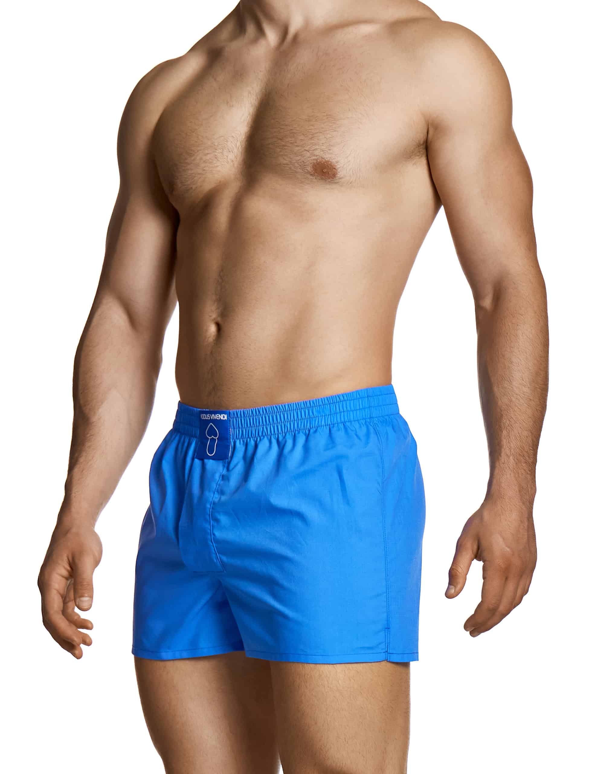 modus-vivendi-heritage-heart-shorts-blue-mens-underwear-30523__2_
