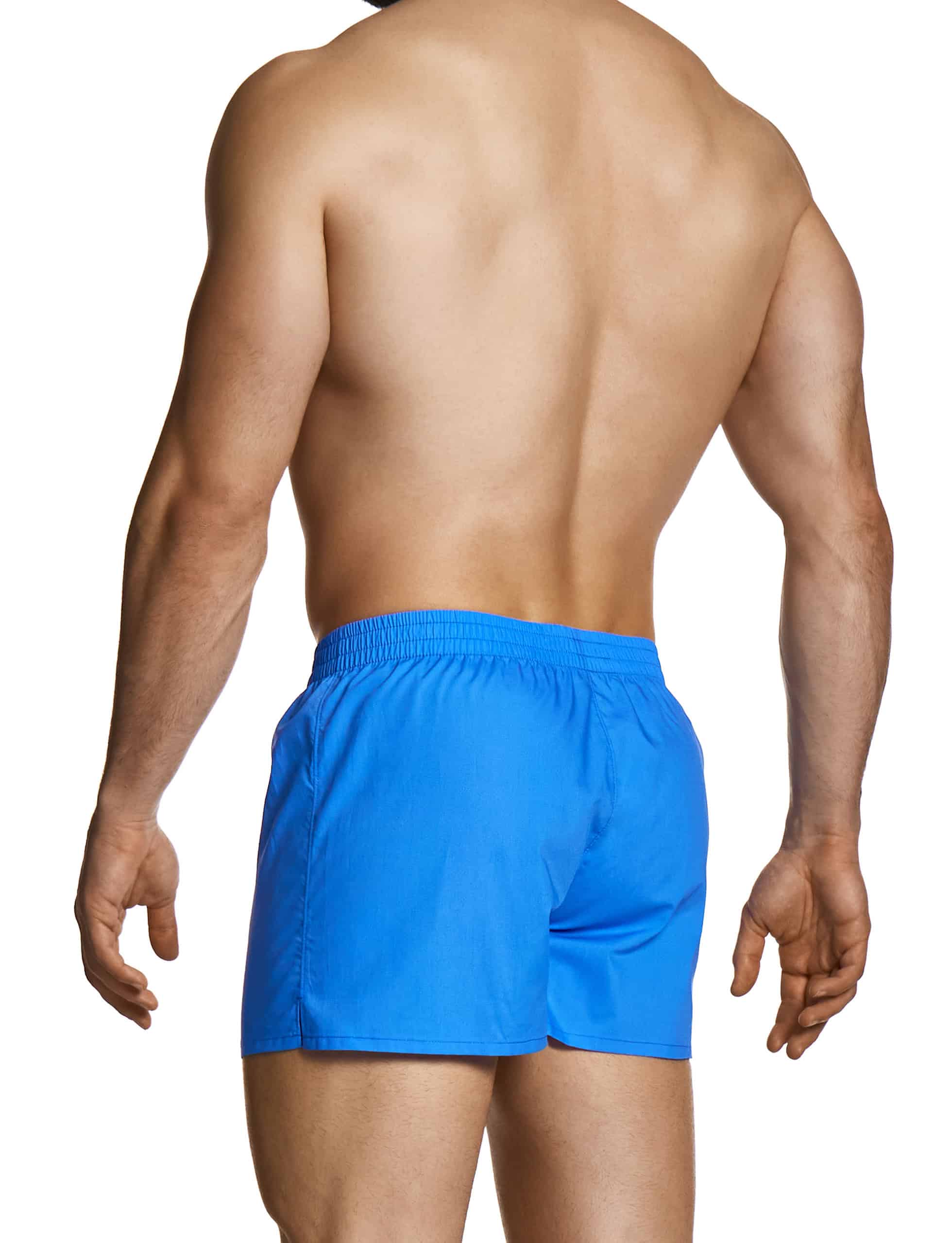 modus-vivendi-heritage-heart-shorts-blue-mens-underwear-30523__3_
