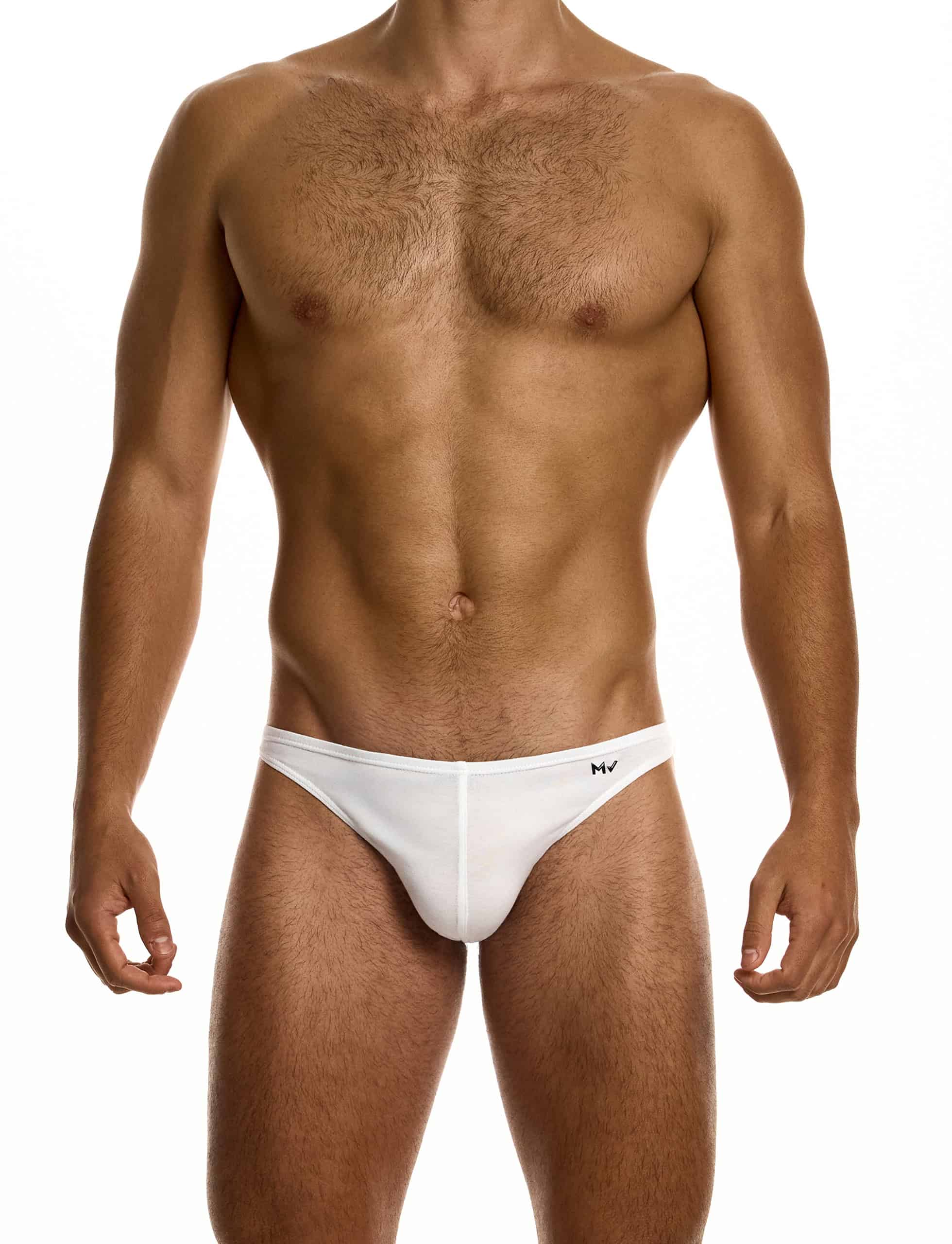 modus-vivendi-heritage-low-cut-brief-white-mens-underwear-30514__1_