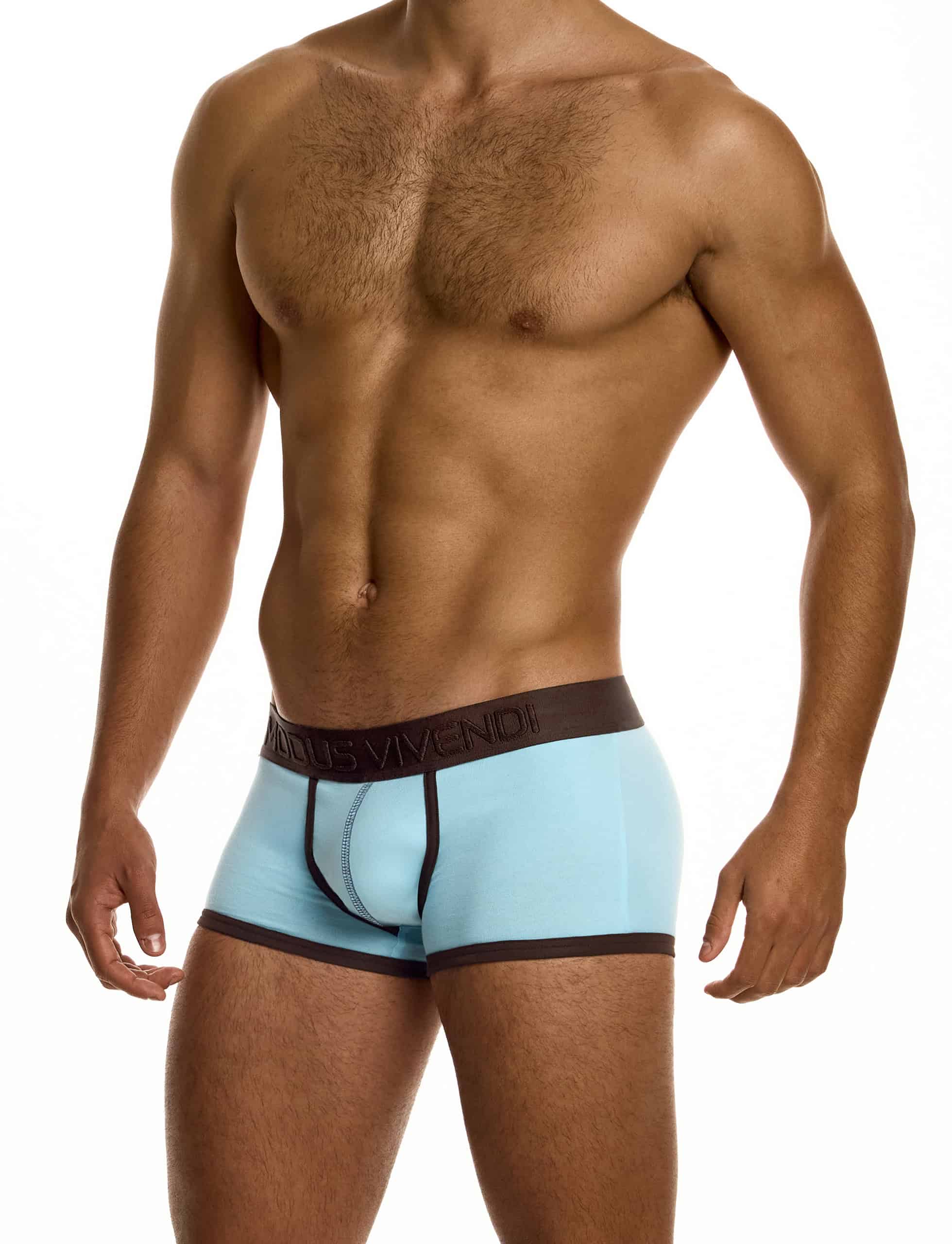 modus-vivendi-dynamic-boxer-aqua-mens-underwear-12621__2_