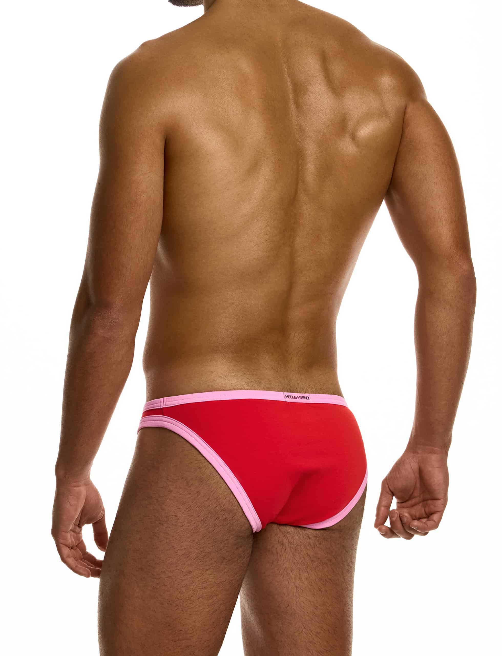 modus-vivendi-dynamic-low-cut-brief-red-mens-underwear-12613__1_