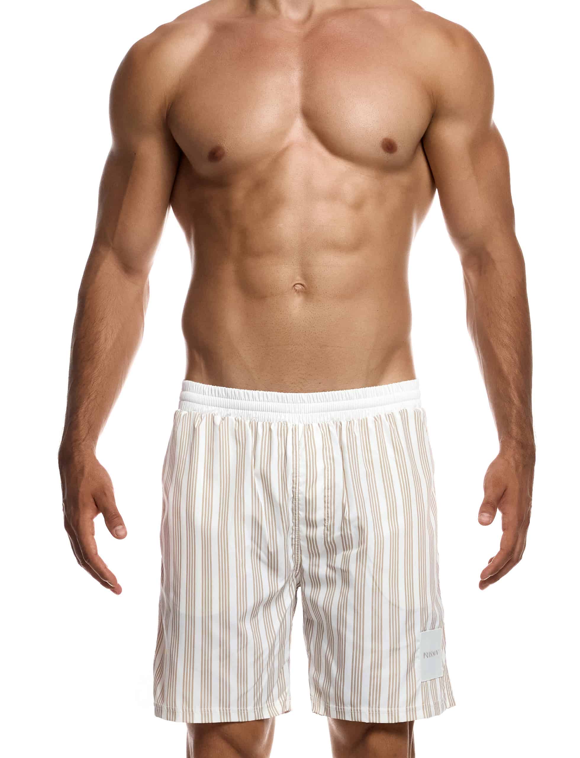 modusvivendi-bretton-stripes-bermuda-mens-swimwear-SW1123-6210__1_