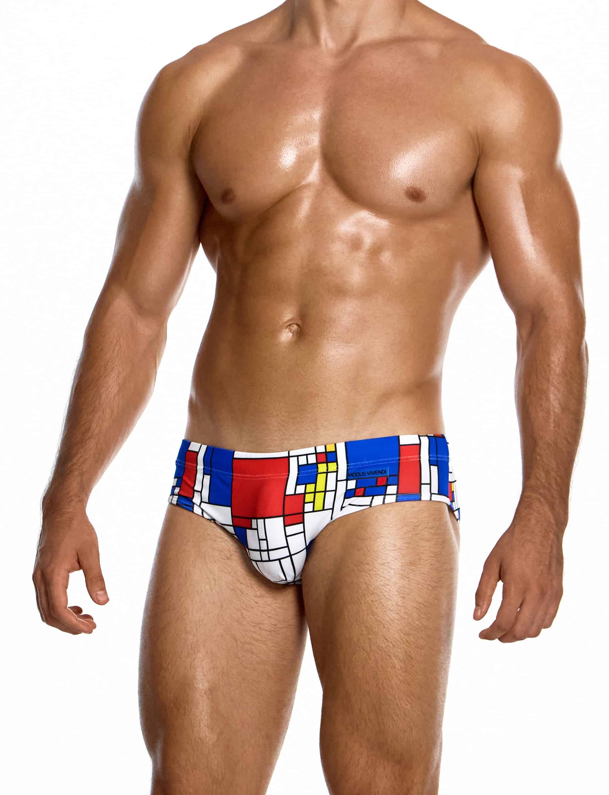 modus-vivendi-mondrian-classic-brief-multi-mens-swimwear-GS2611__2__n41n-b6