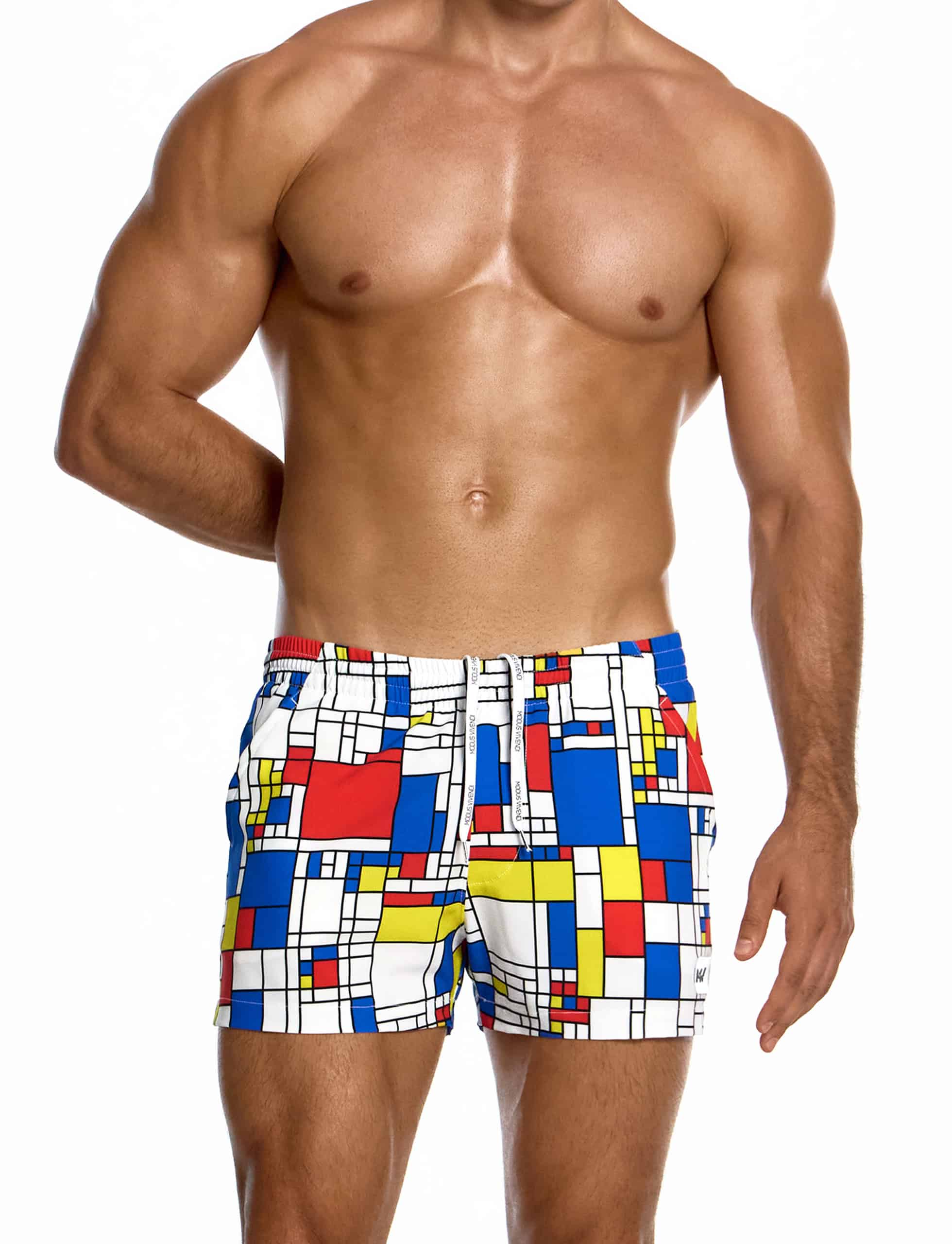 modus-vivendi-mondrian-shorts-multi-mens-swimwear-GS2631__2_