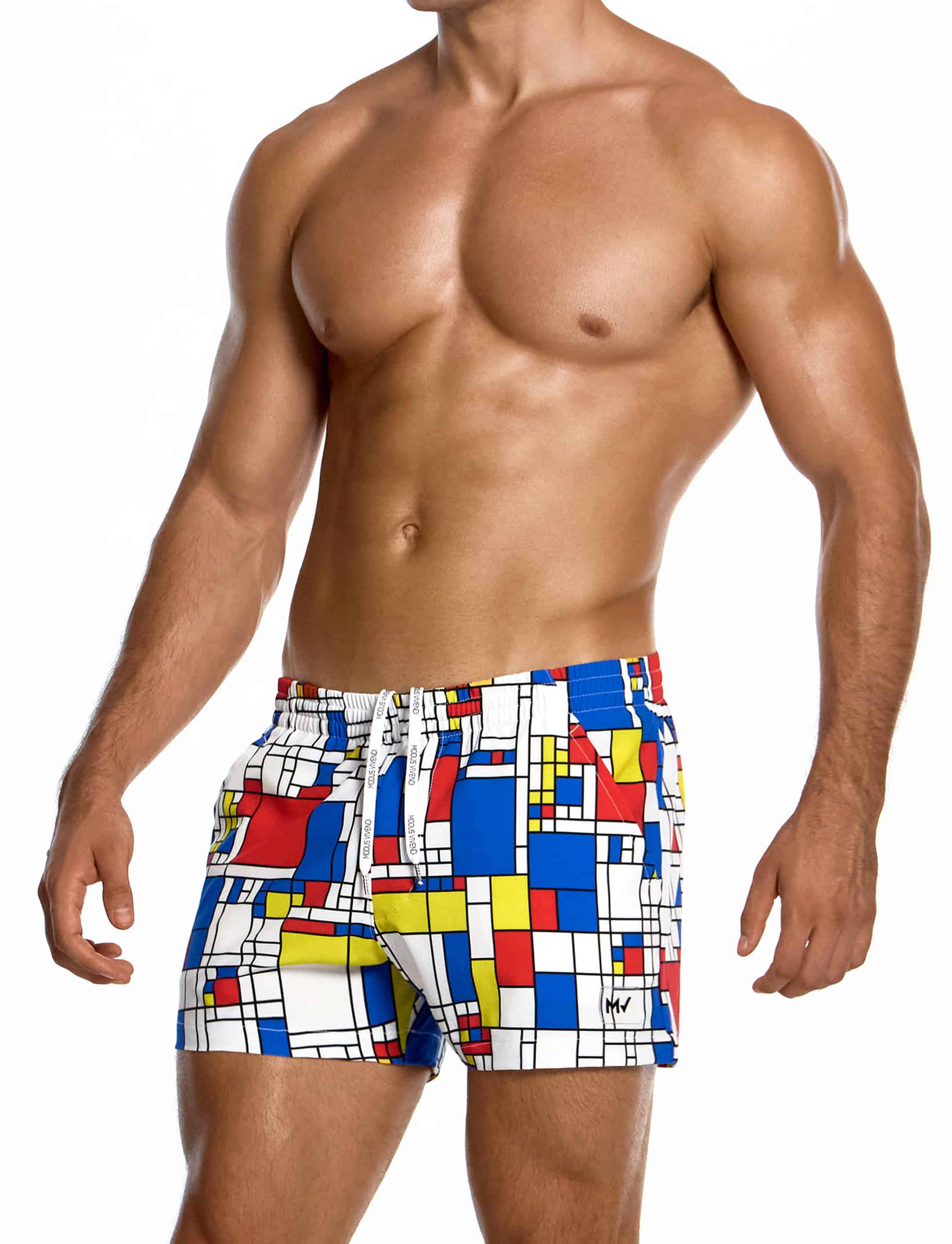 modus-vivendi-mondrian-shorts-multi-mens-swimwear-GS2631__3_