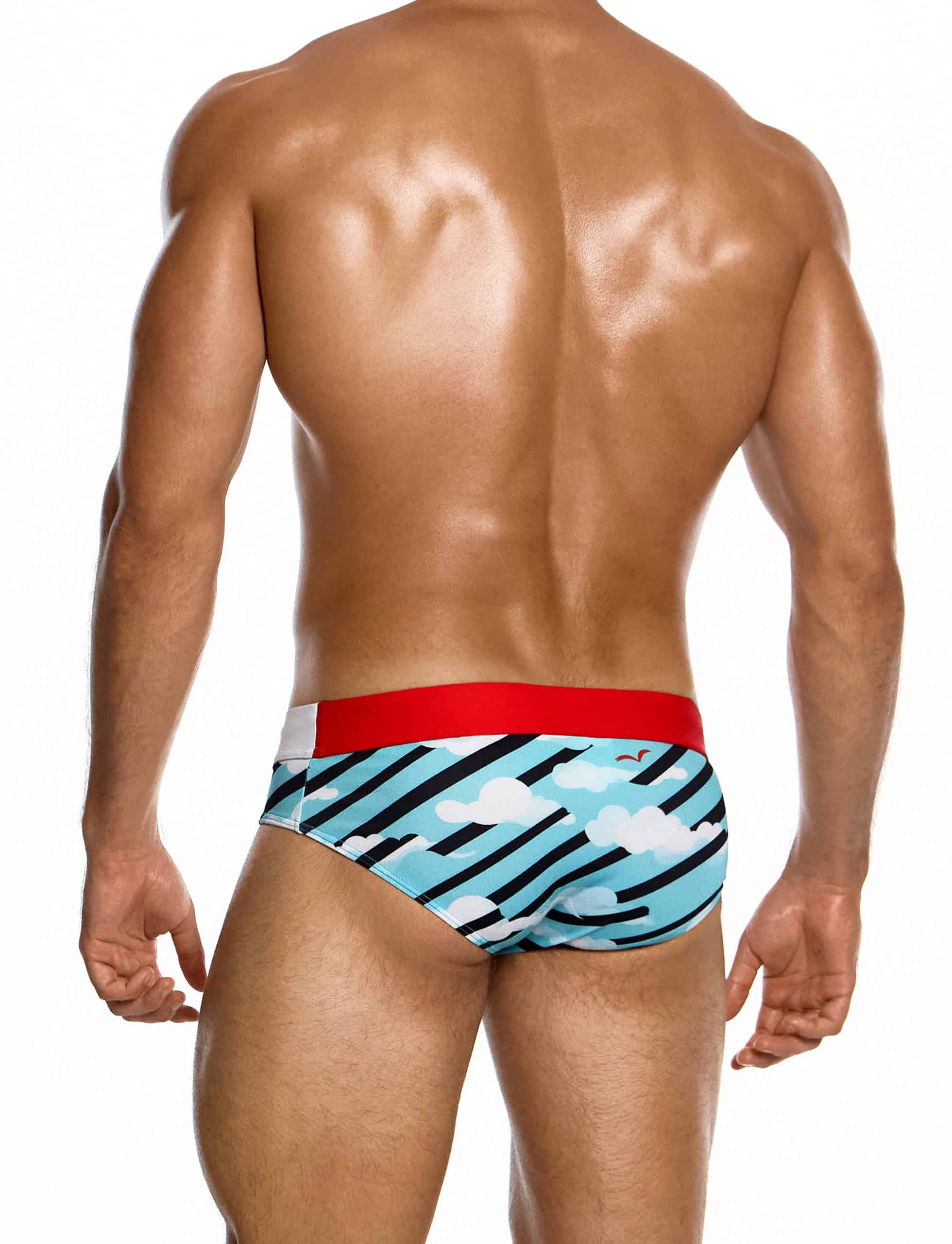modus-vivendi-aegean-skies-classic-brief-multi-mens-swimwear-DS2612__1_
