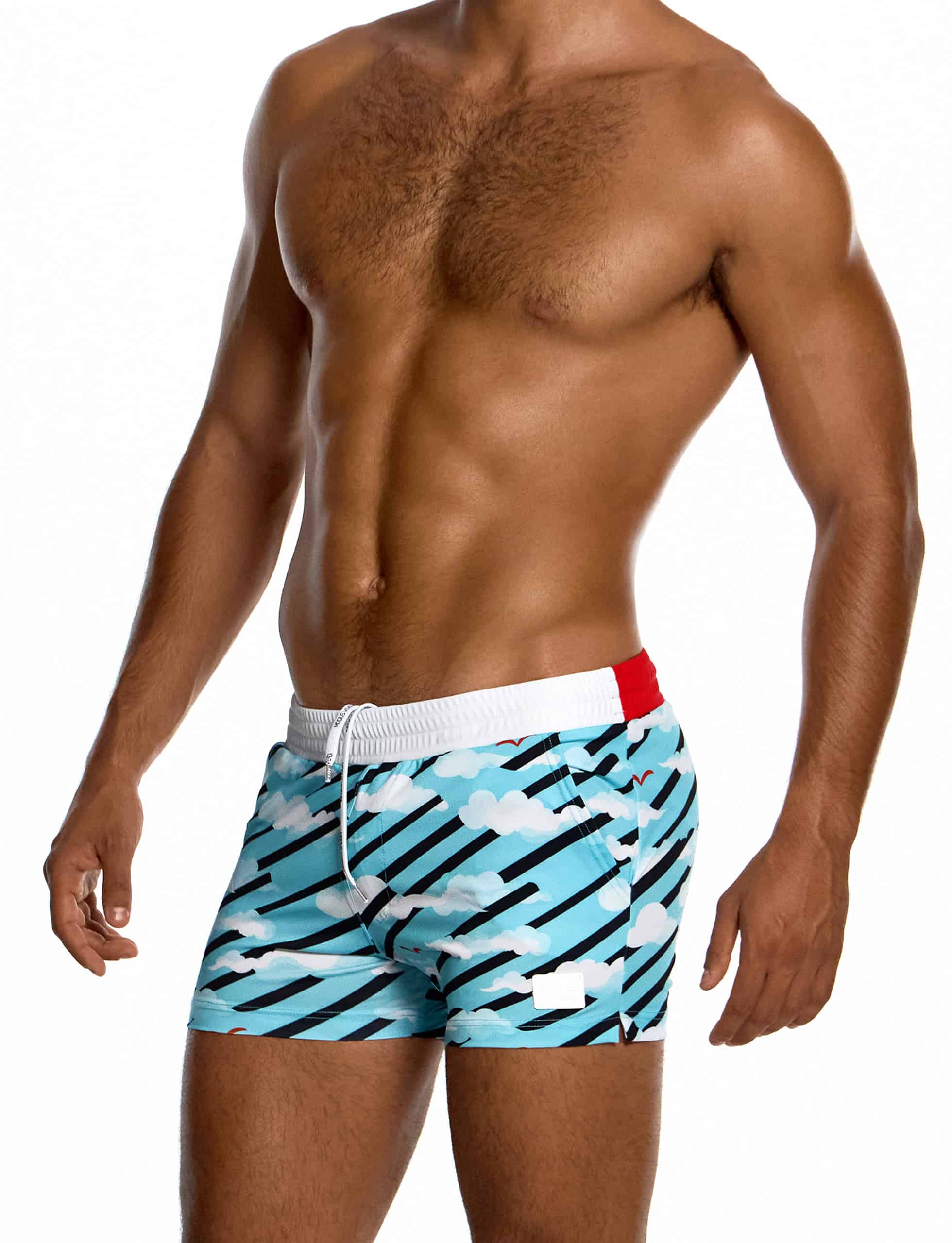modus-vivendi-aegean-skies-shorts-multi-mens-swimwear-DS2631__1_