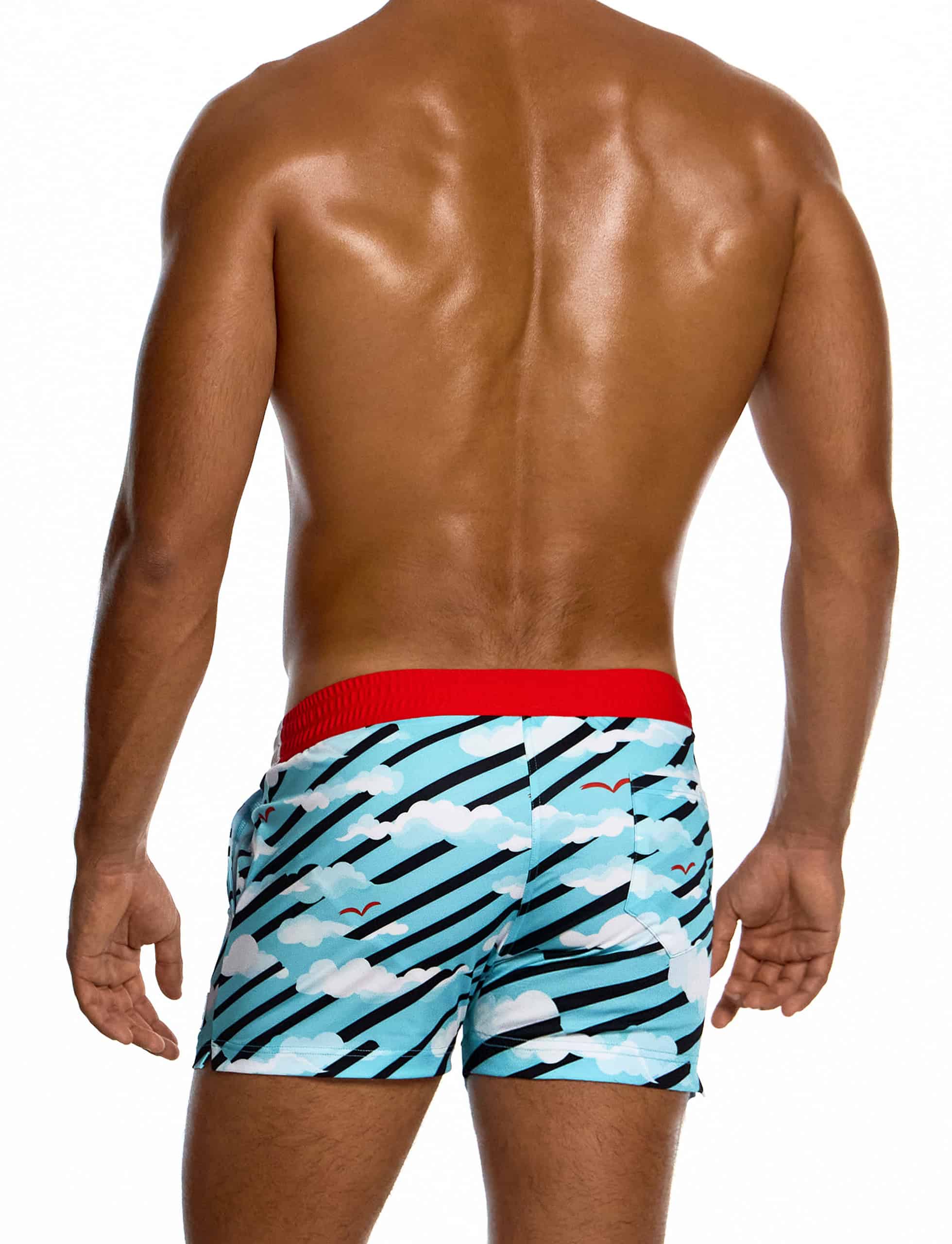 modus-vivendi-aegean-skies-shorts-multi-mens-swimwear-DS2631__2_