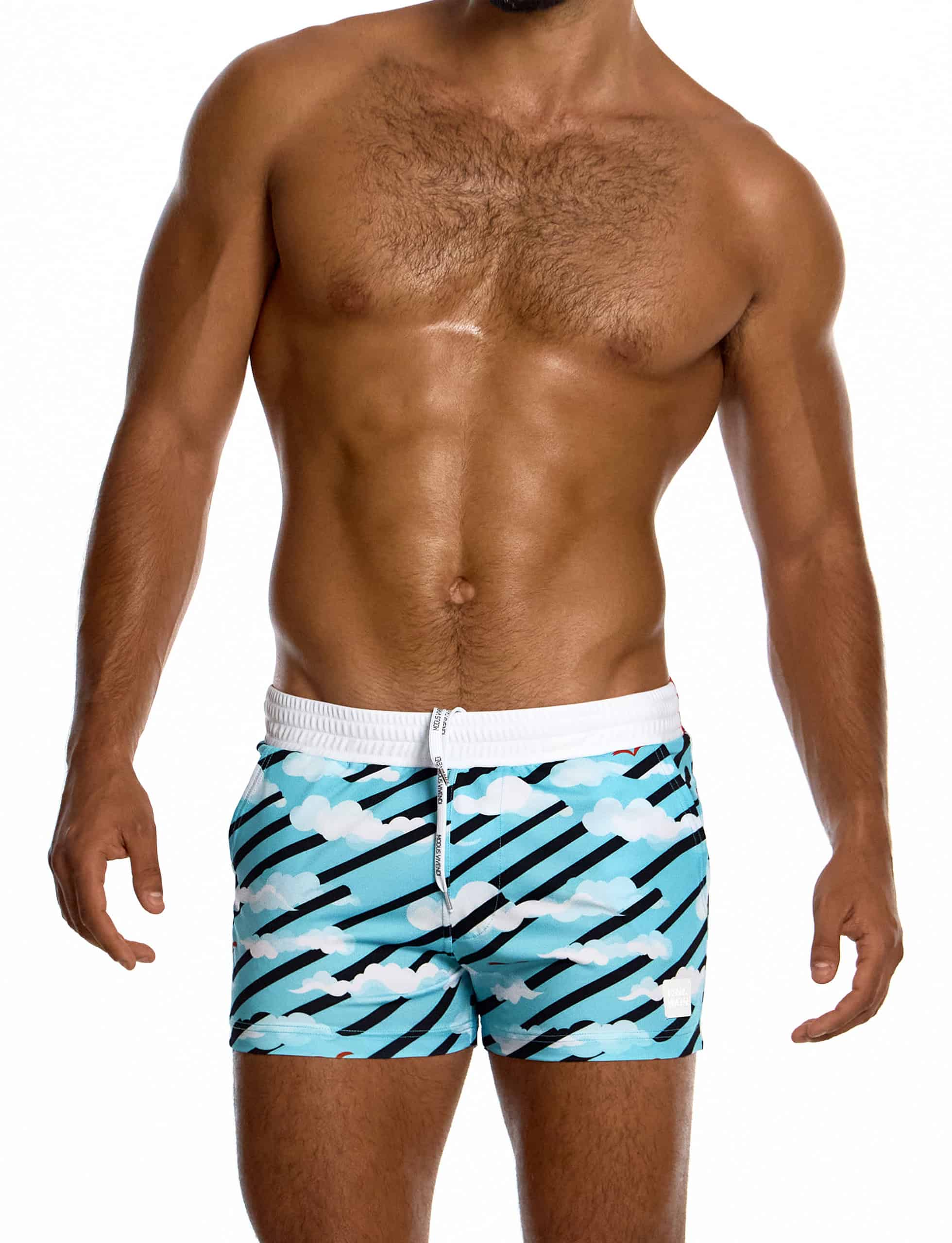 modus-vivendi-aegean-skies-shorts-multi-mens-swimwear-DS2631__3_