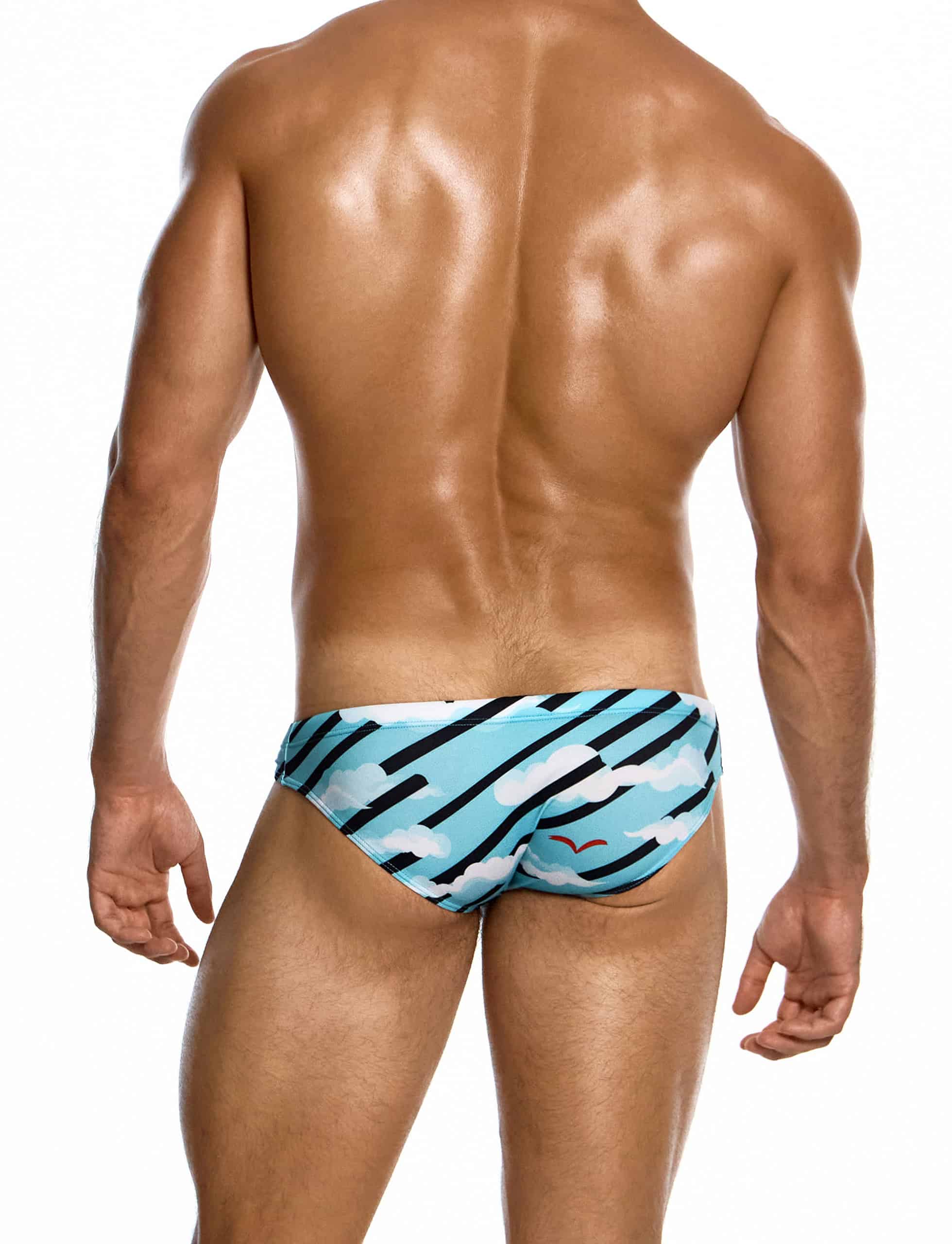 modus-vivendi-aegean-skies-super-low-rise-brief-multi-mens-swimwear-DS2611__3_