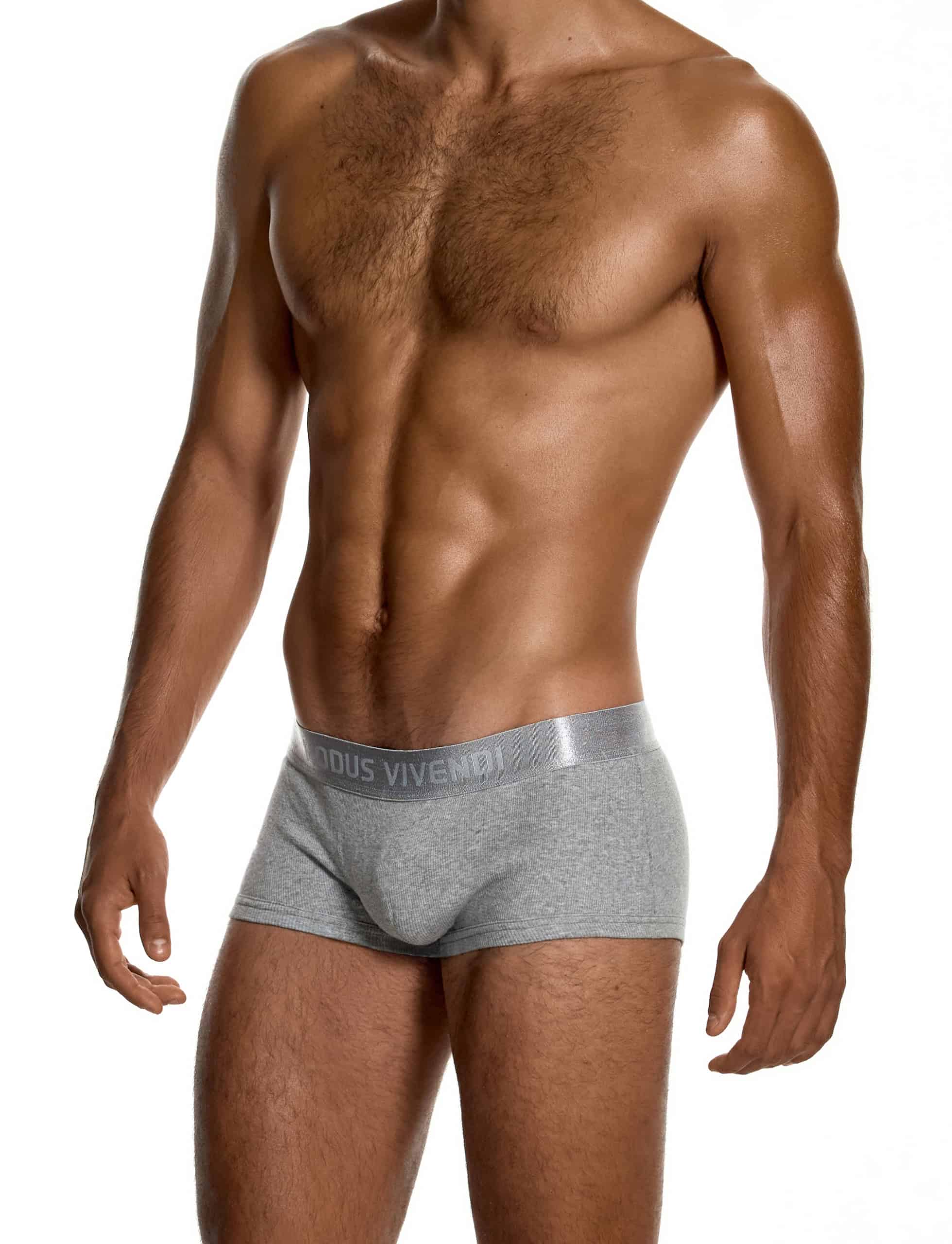 modus-vivendi-ribbed-cotton-boxers-grey-mens-underwear-20622__1_
