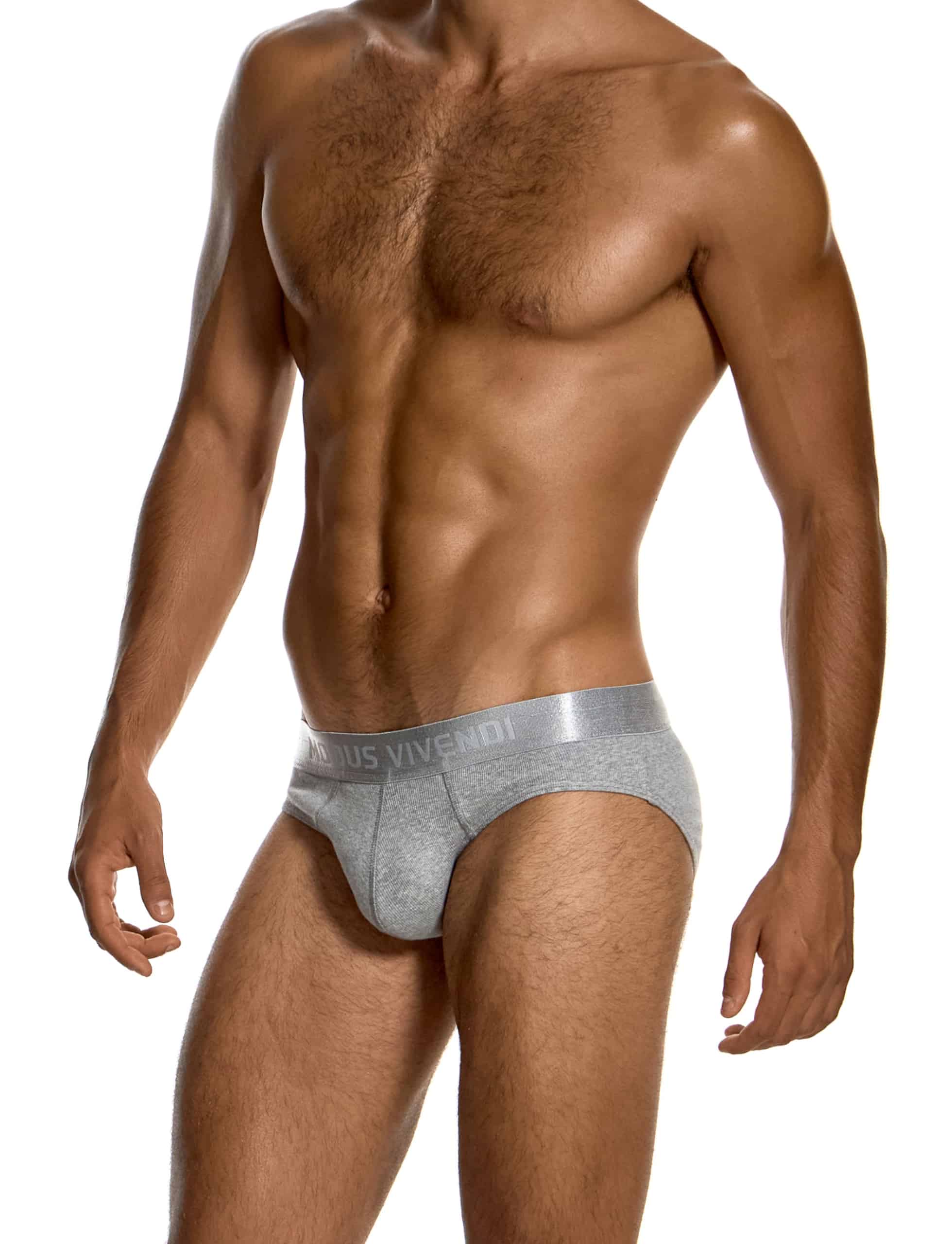 modus-vivendi-ribbed-cotton-classic-briefs-grey-mens-underwear-20617__1_