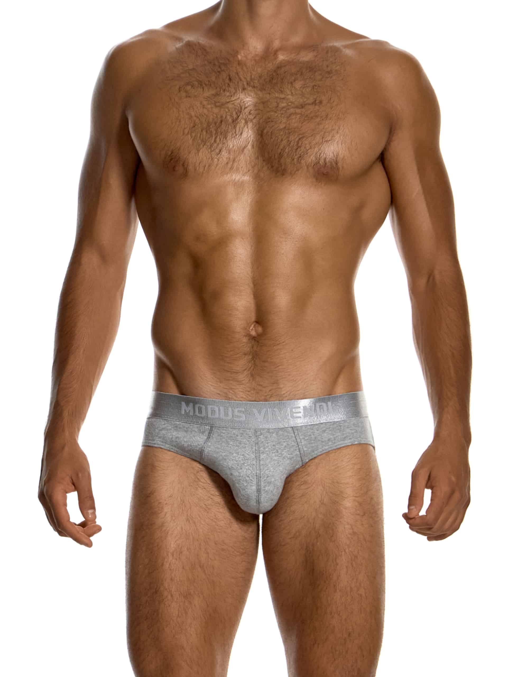 modus-vivendi-ribbed-cotton-classic-briefs-grey-mens-underwear-20617__2_