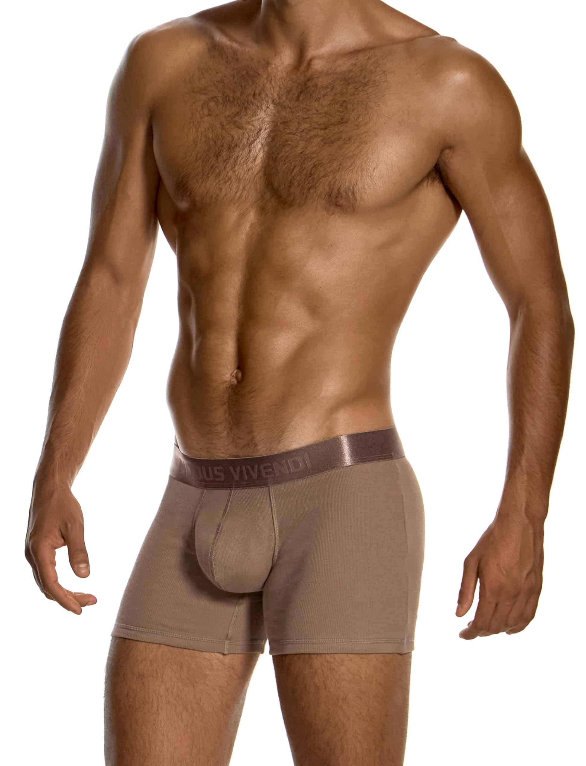 modus-vivendi-ribbed-cotton-long-boxers-dark-skin-mens-underwear-20623__1_