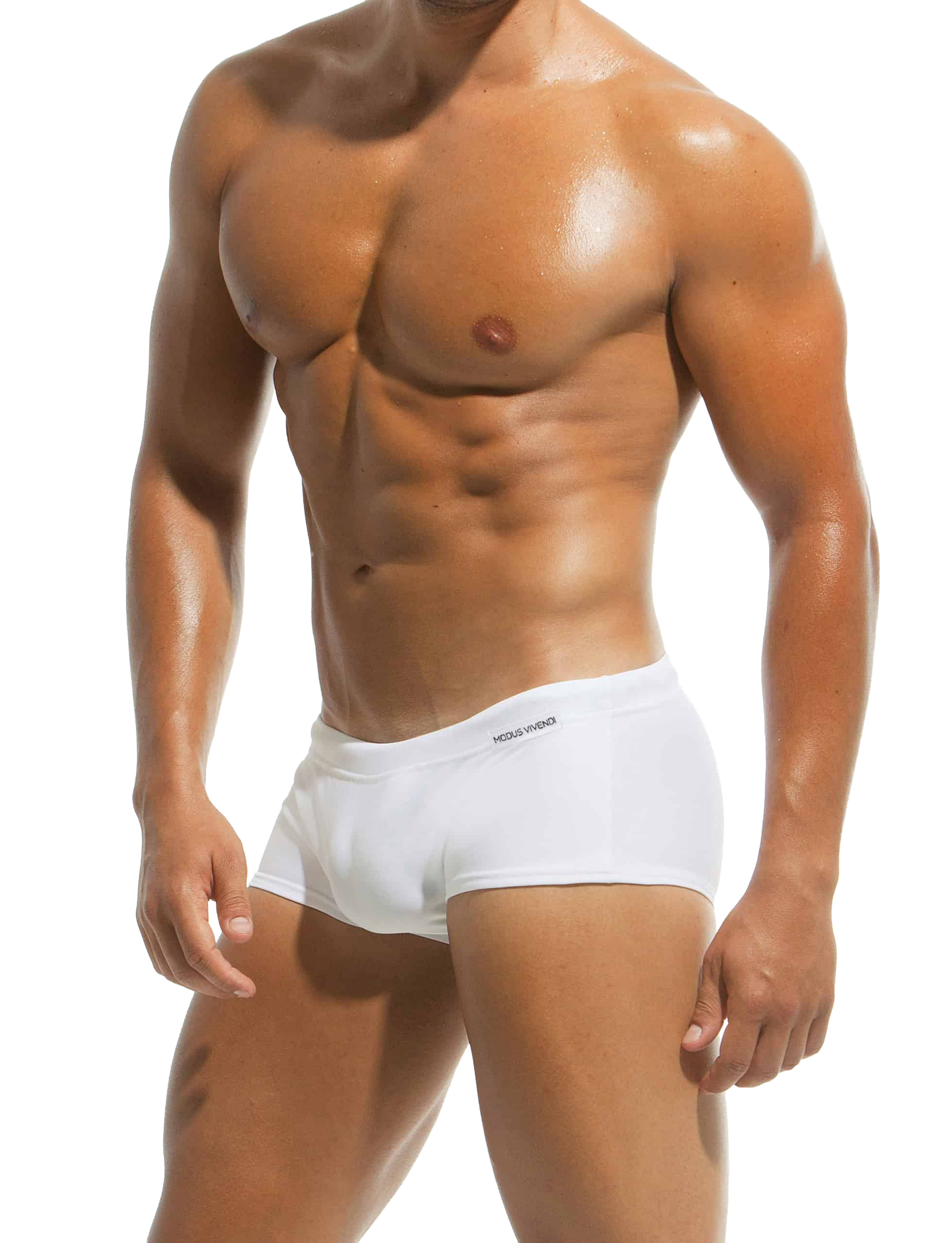 S1523_white_brazil_cut_modus_vivendi_swimwear-_1_