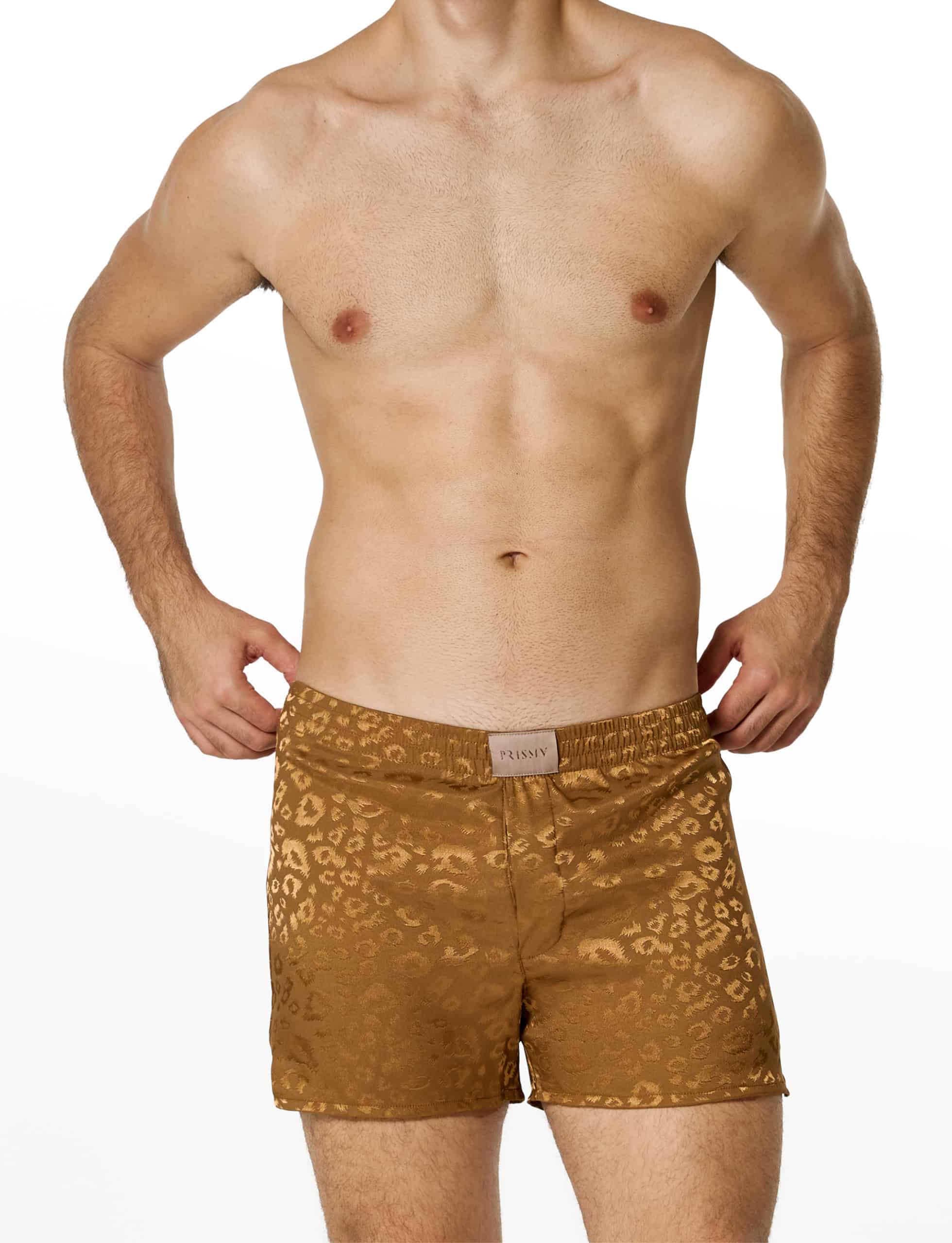 modus-vivendi-leopard-print-boxers-gold-mens-underwear-UN1524-2120__1_