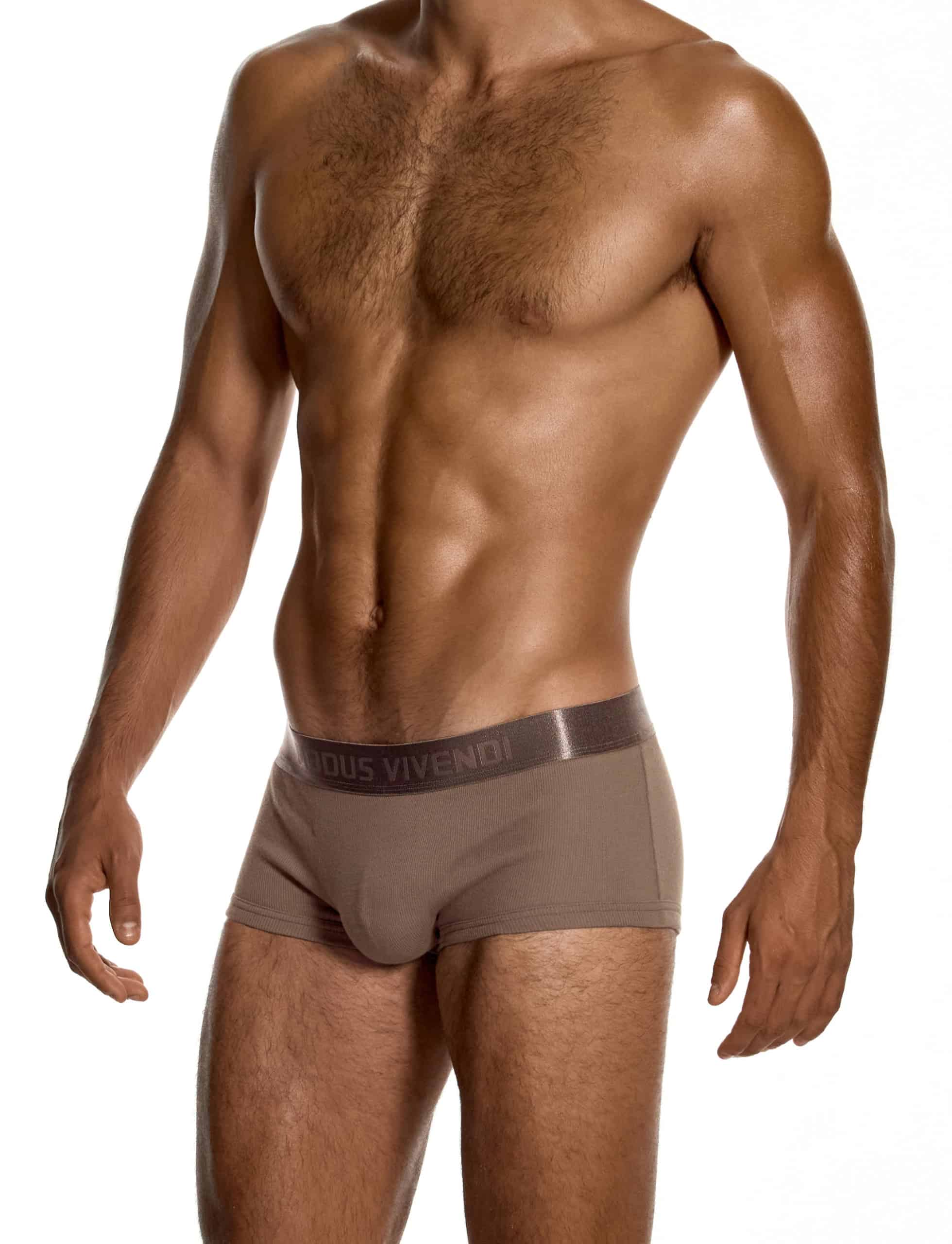 modus-vivendi-ribbed-cotton-boxers-dark-skin-mens-underwear-20622__2_
