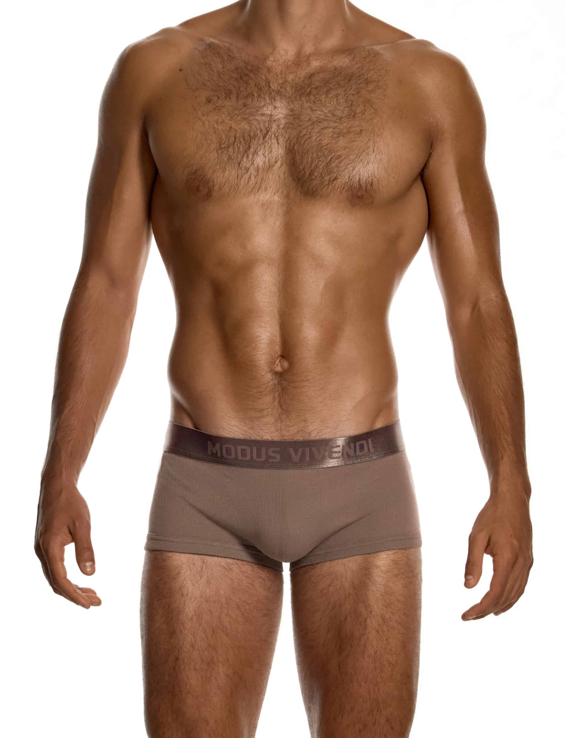 modus-vivendi-ribbed-cotton-boxers-dark-skin-mens-underwear-20622__3_