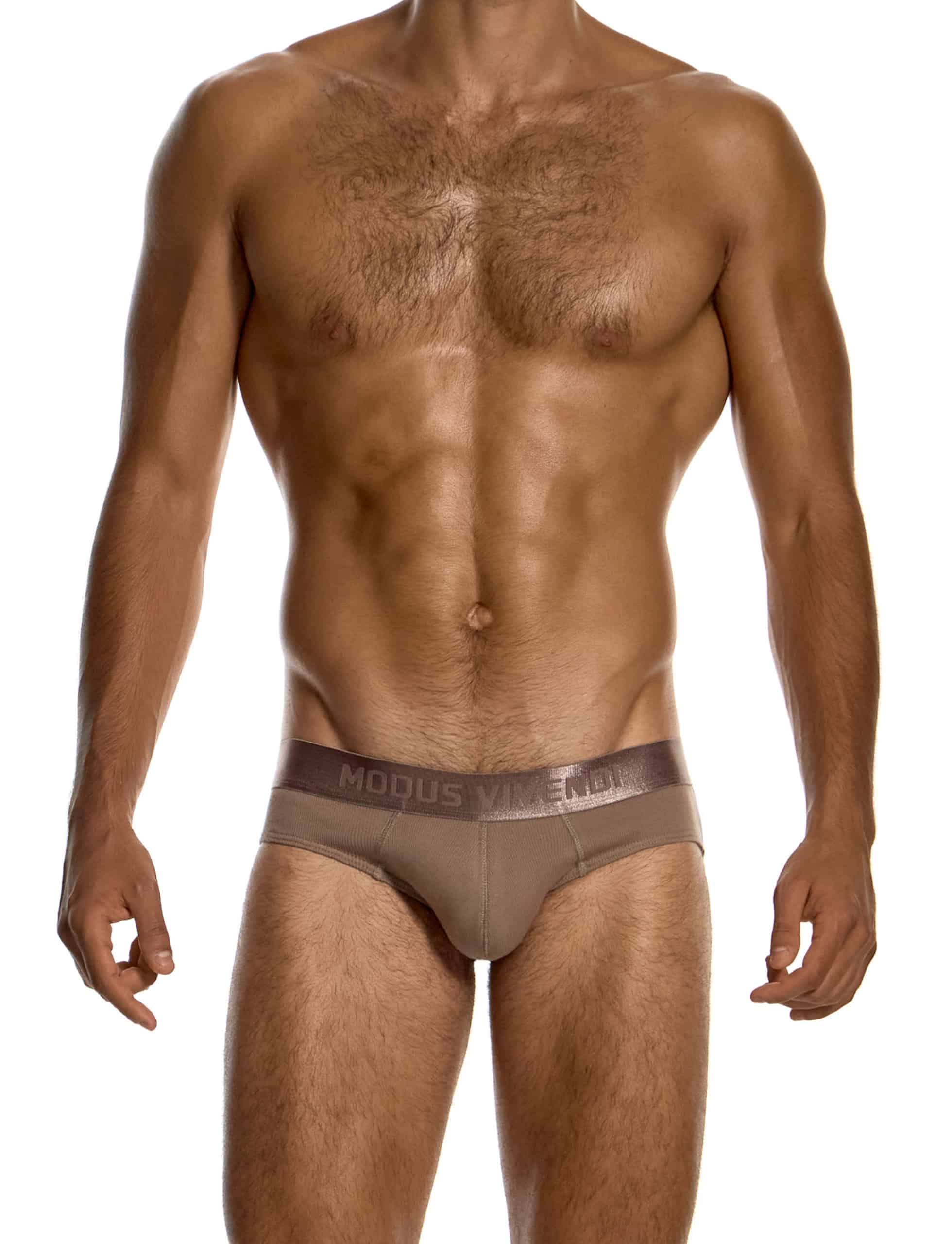 modus-vivendi-ribbed-cotton-classic-briefs-dark-skin-mens-underwear-20617__1_