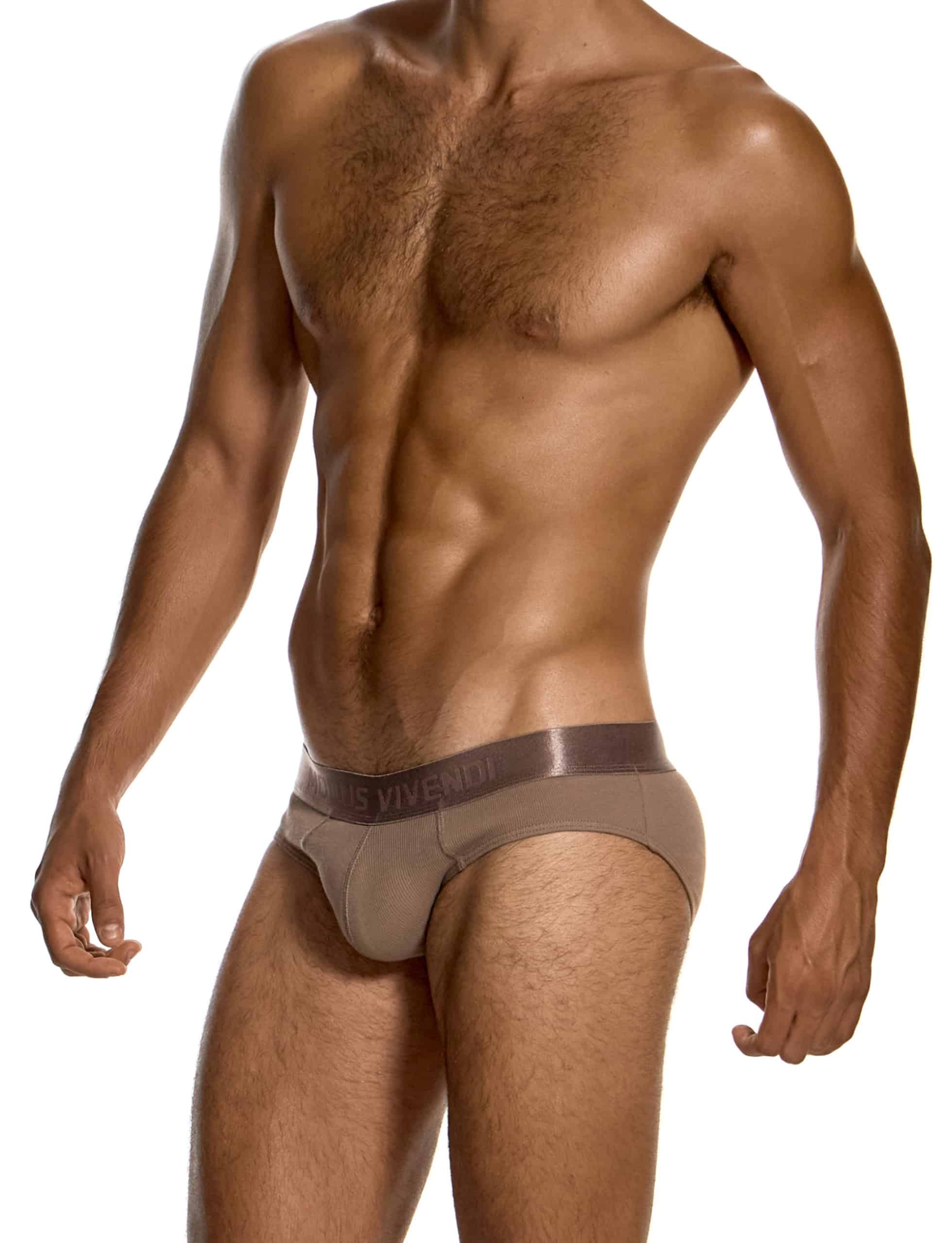 modus-vivendi-ribbed-cotton-classic-briefs-dark-skin-mens-underwear-20617__2_