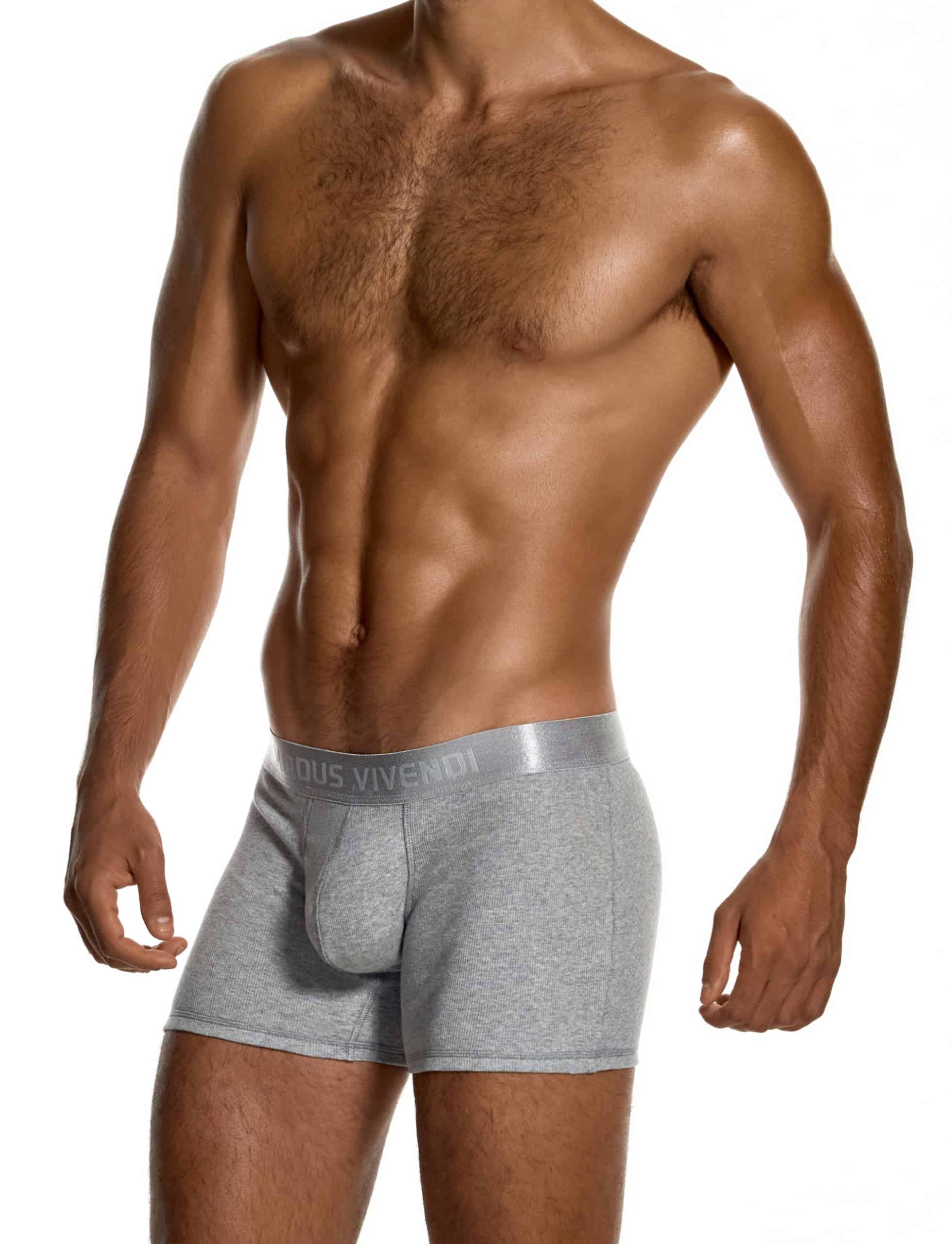 modus-vivendi-ribbed-cotton-long-boxers-grey-mens-underwear-20623__1_