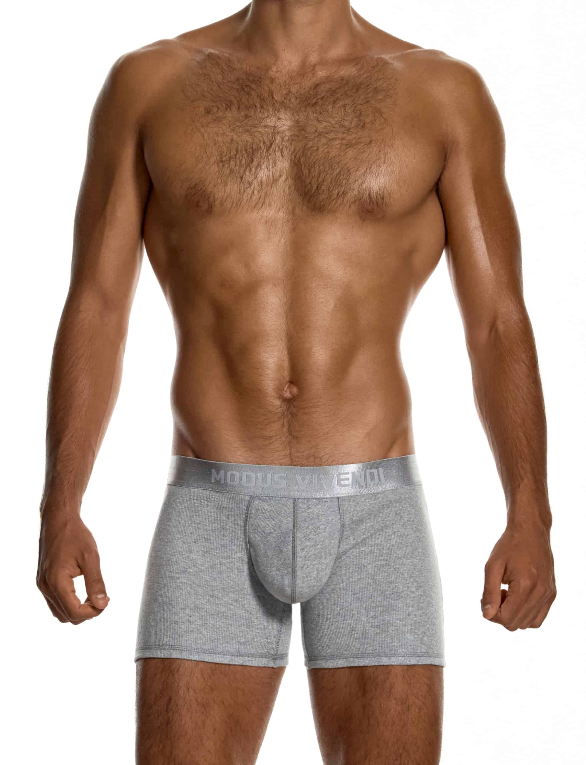 modus-vivendi-ribbed-cotton-long-boxers-grey-mens-underwear-20623__2_